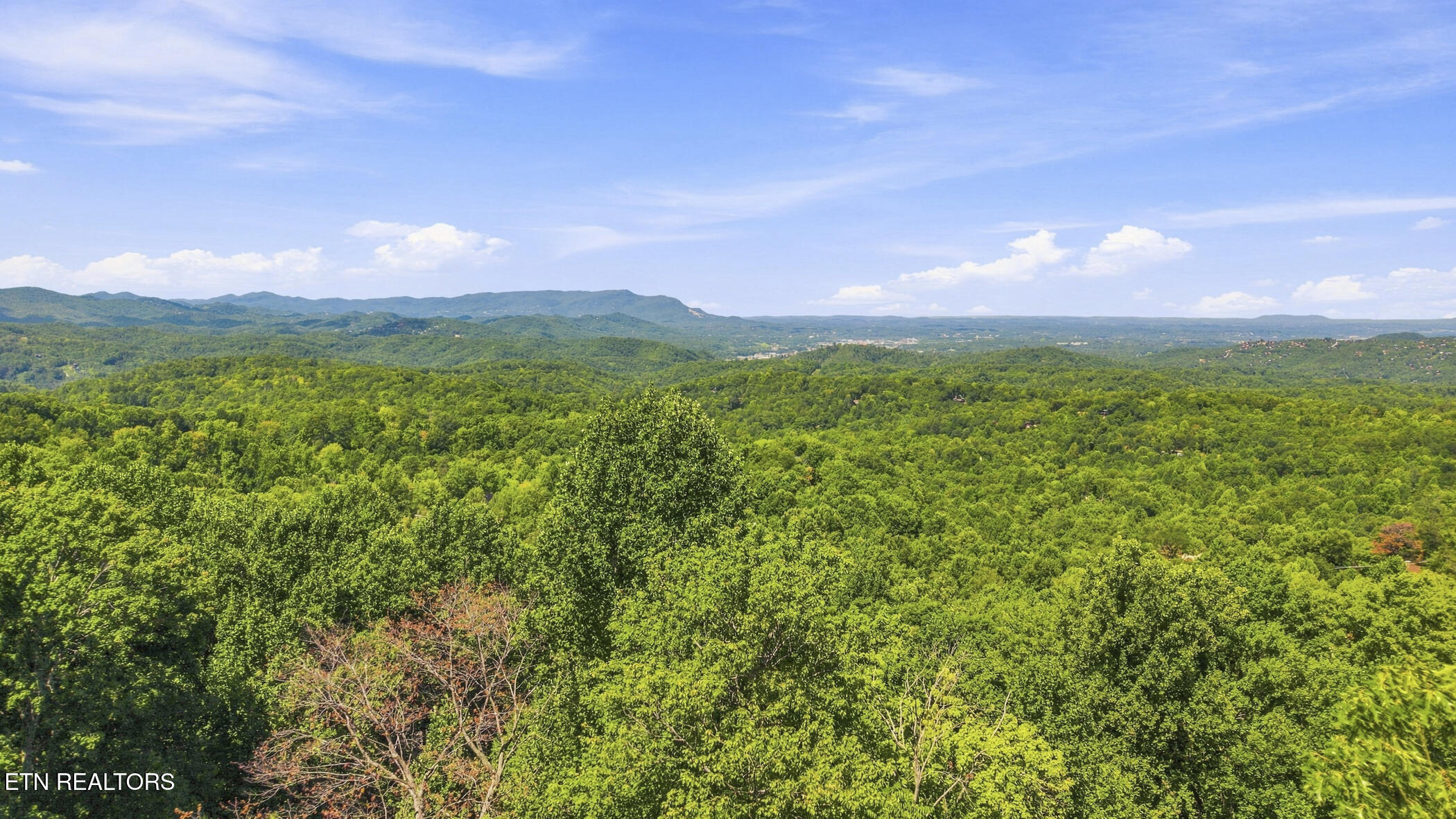 1824 Rhododendron Lane Sevierville TN 37876