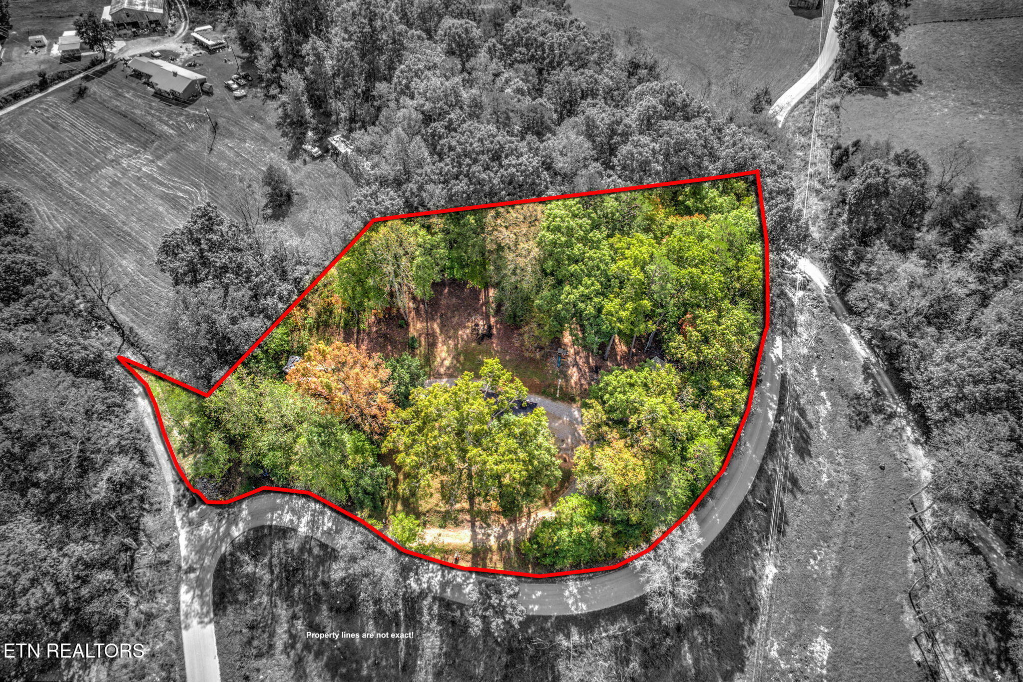 779 Goin Road New Tazewell TN 37825