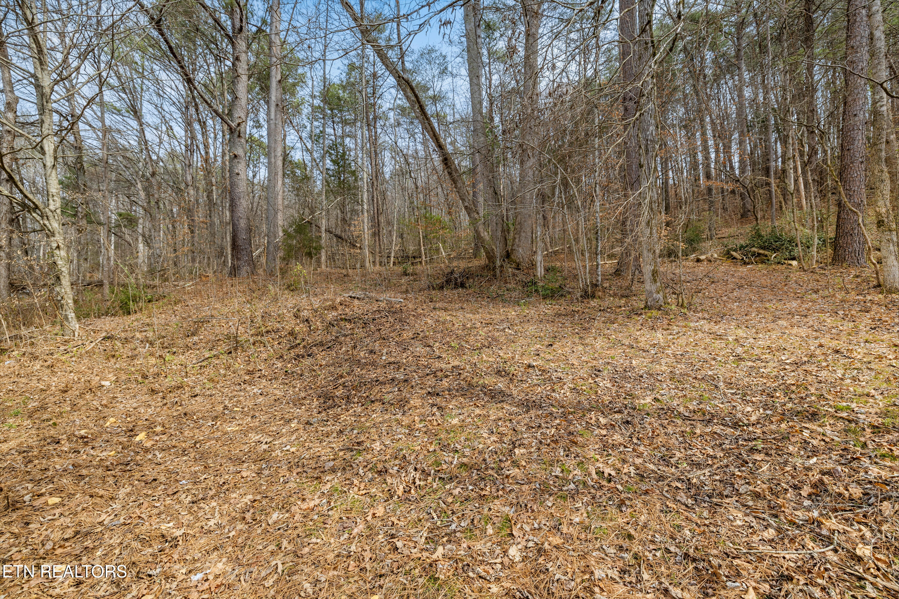 2248 Mcspadden Road Maryville TN 37803