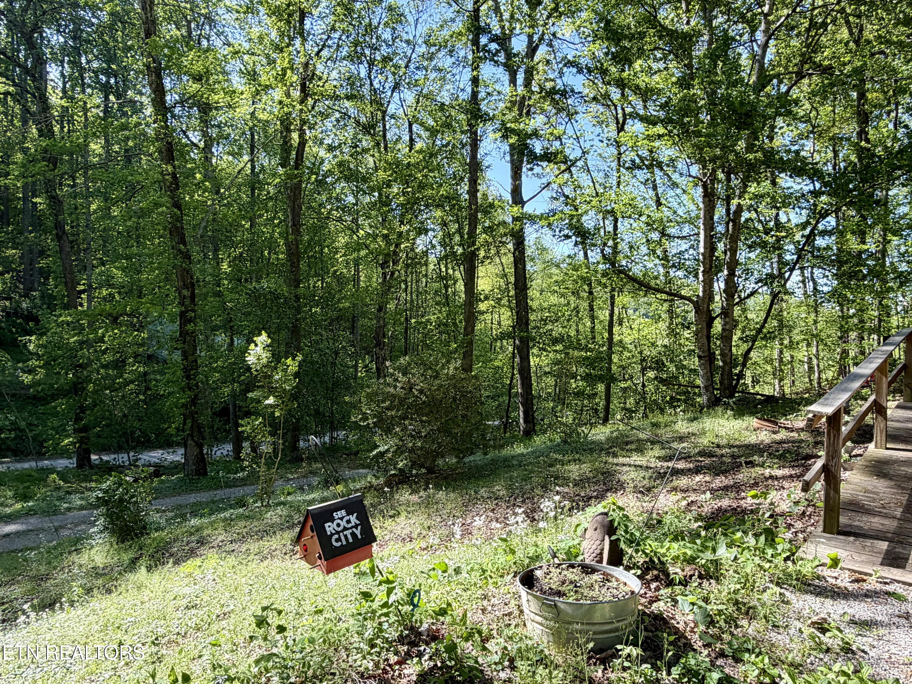 110 Laguna Vista Drive Caryville TN 37714