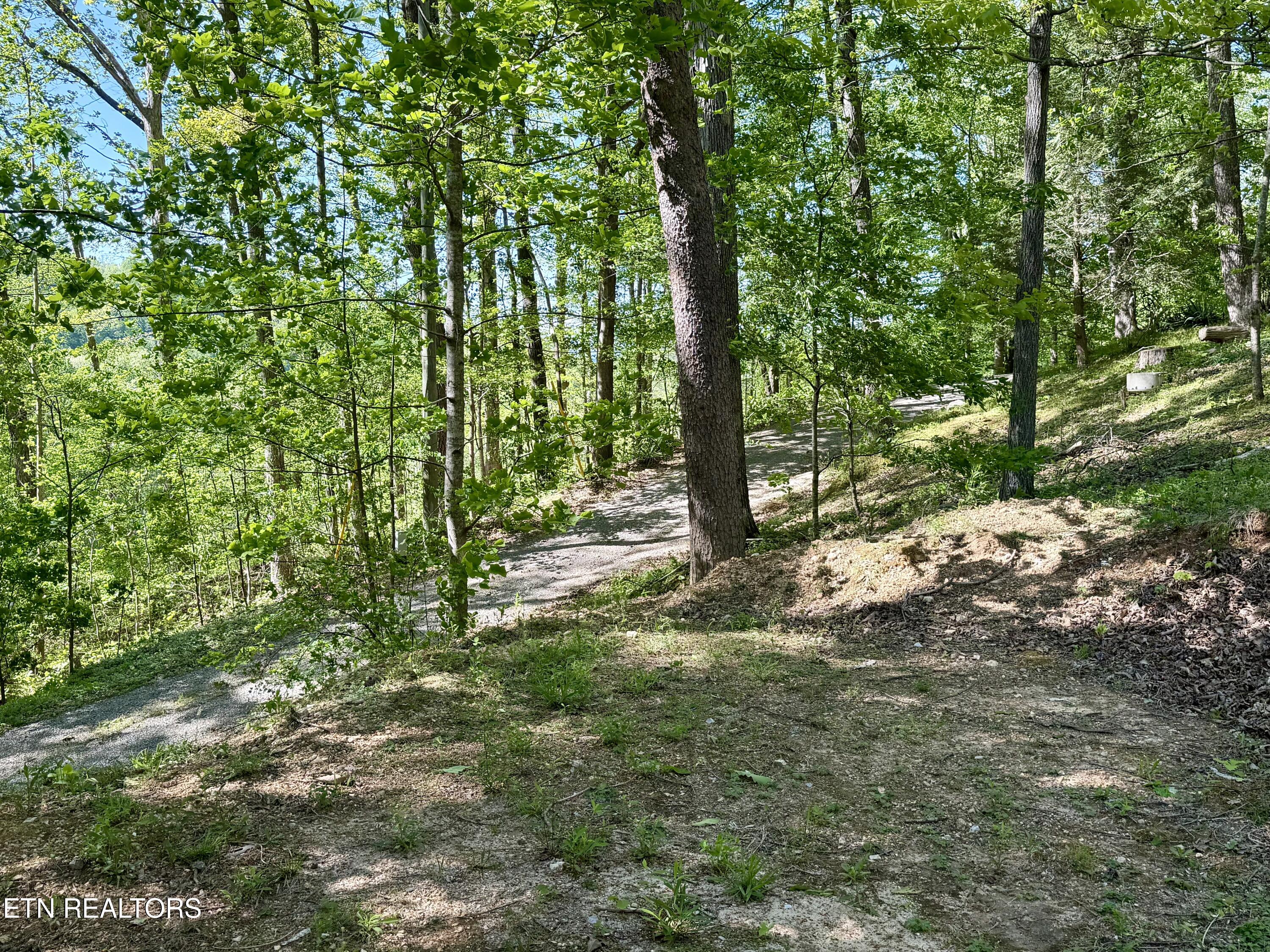 110 Laguna Vista Drive Caryville TN 37714