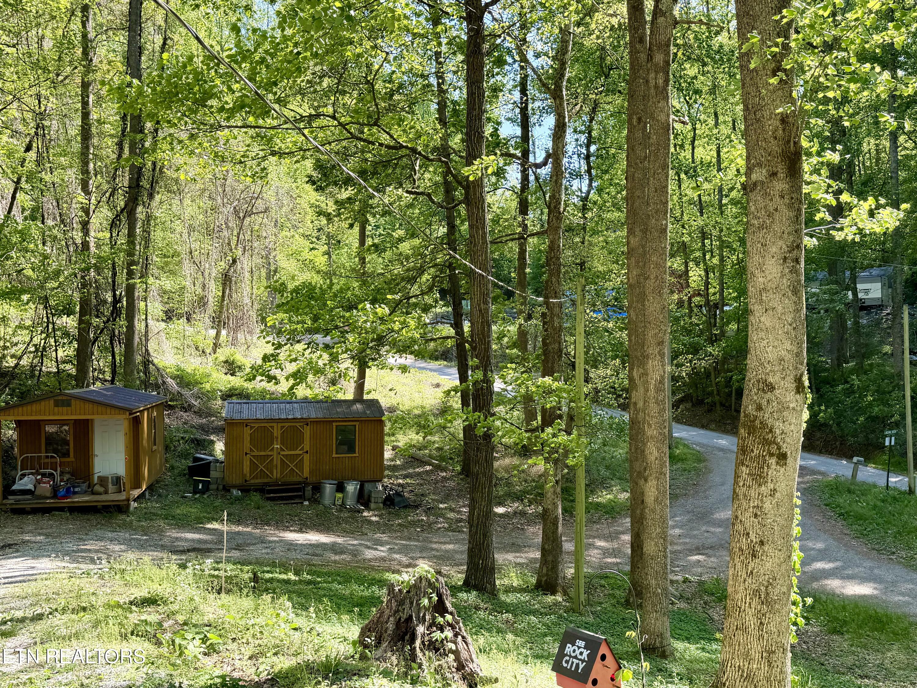 110 Laguna Vista Drive Caryville TN 37714