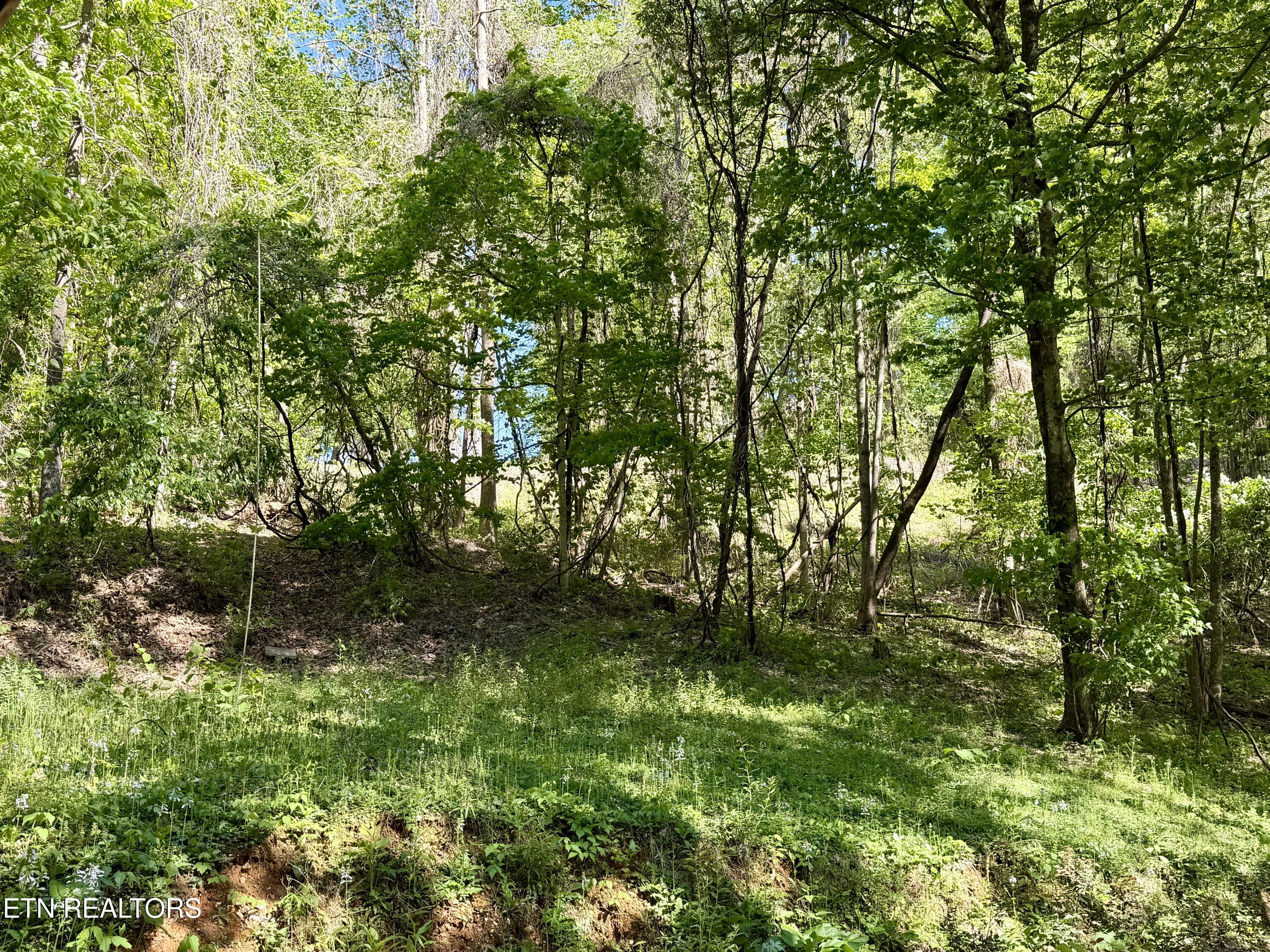110 Laguna Vista Drive Caryville TN 37714