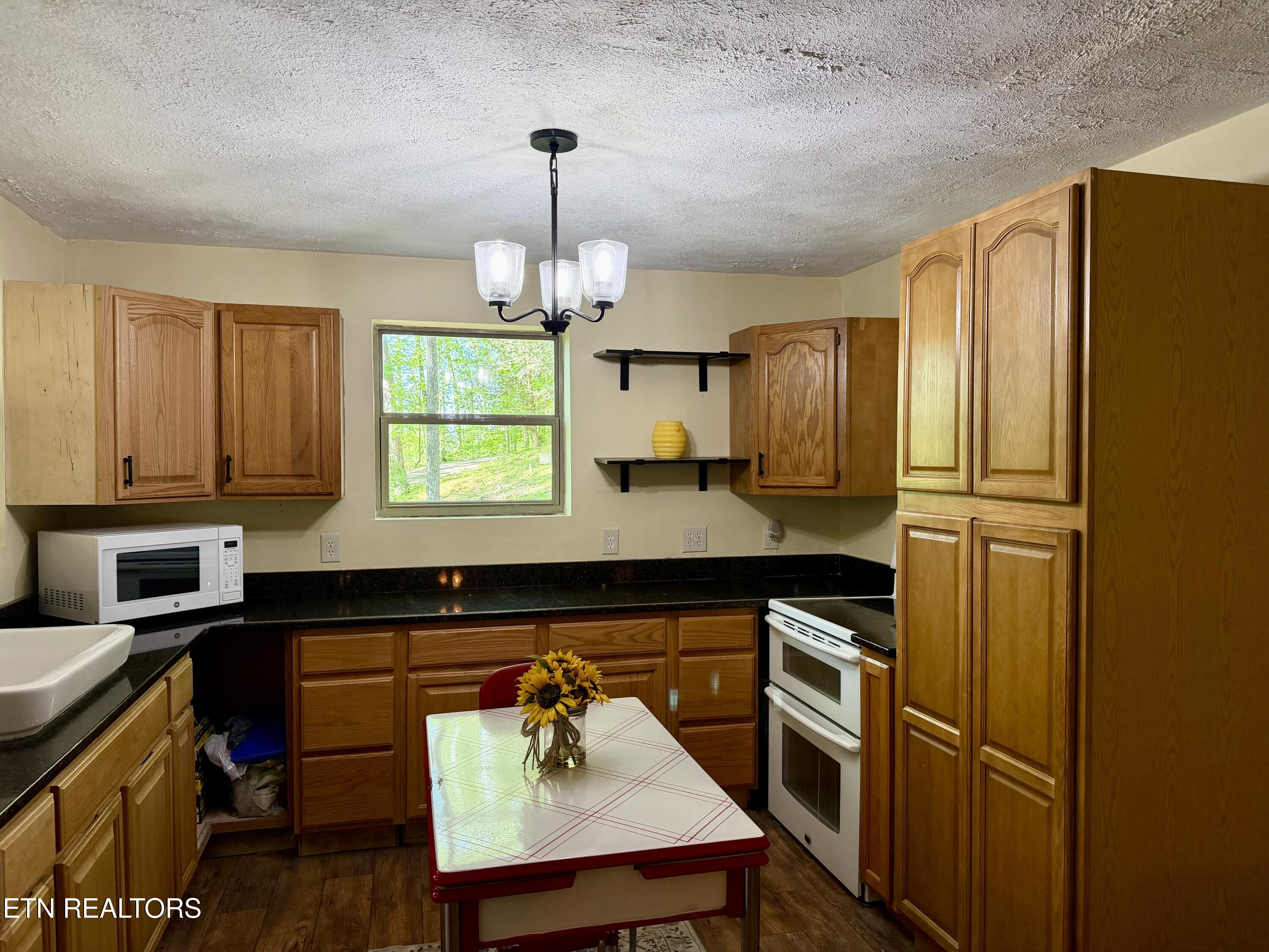 110 Laguna Vista Drive Caryville TN 37714