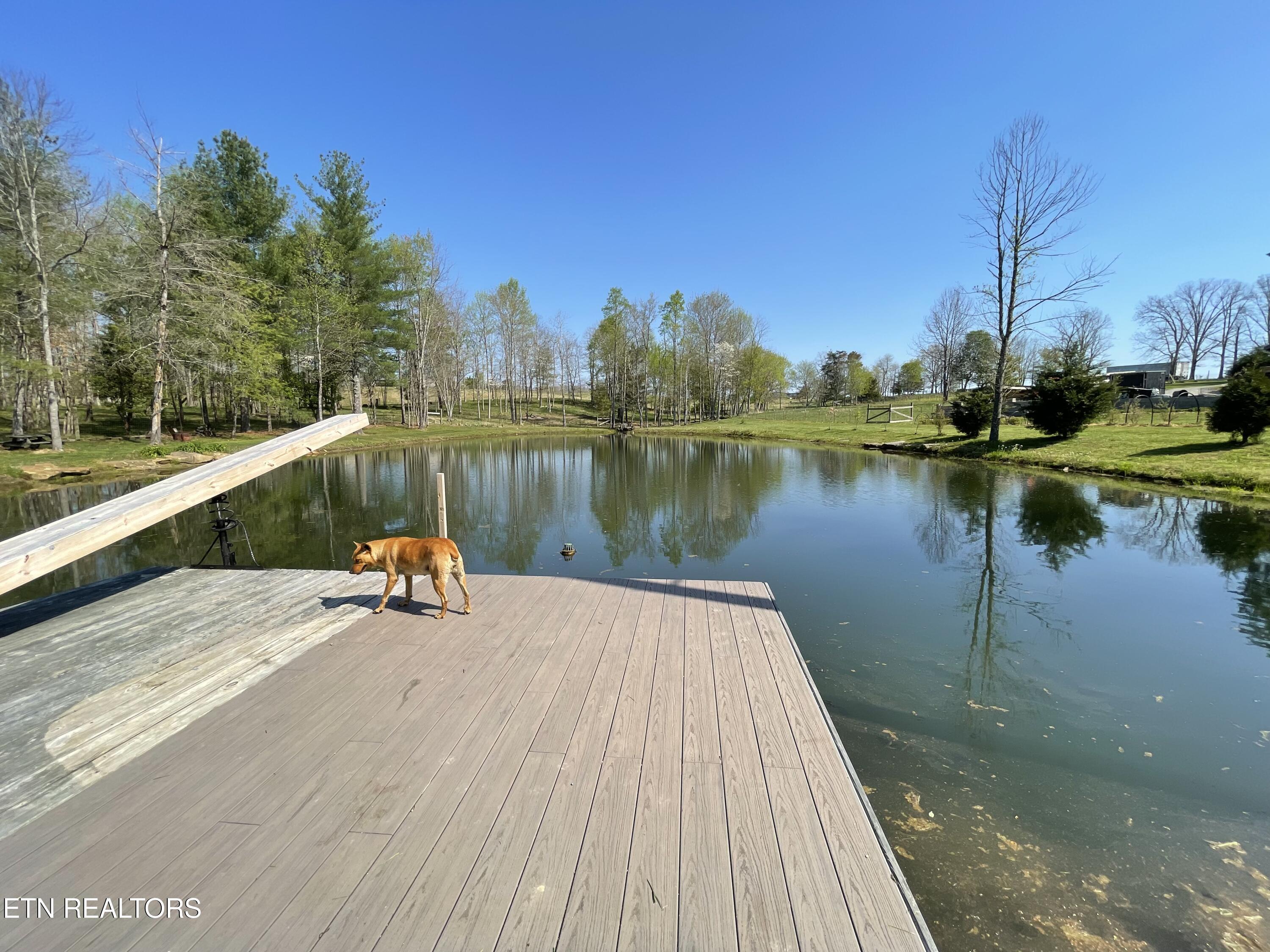 1951 Hall Road Clarkrange TN 38553
