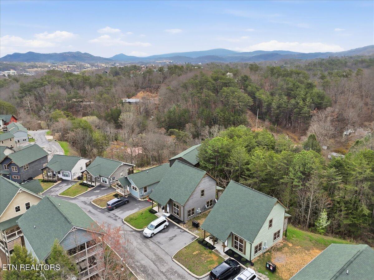 850 Osprey Way Pigeon Forge TN 37863