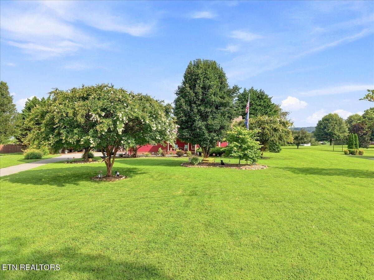 416 Terry Point Road Dandridge TN 37725