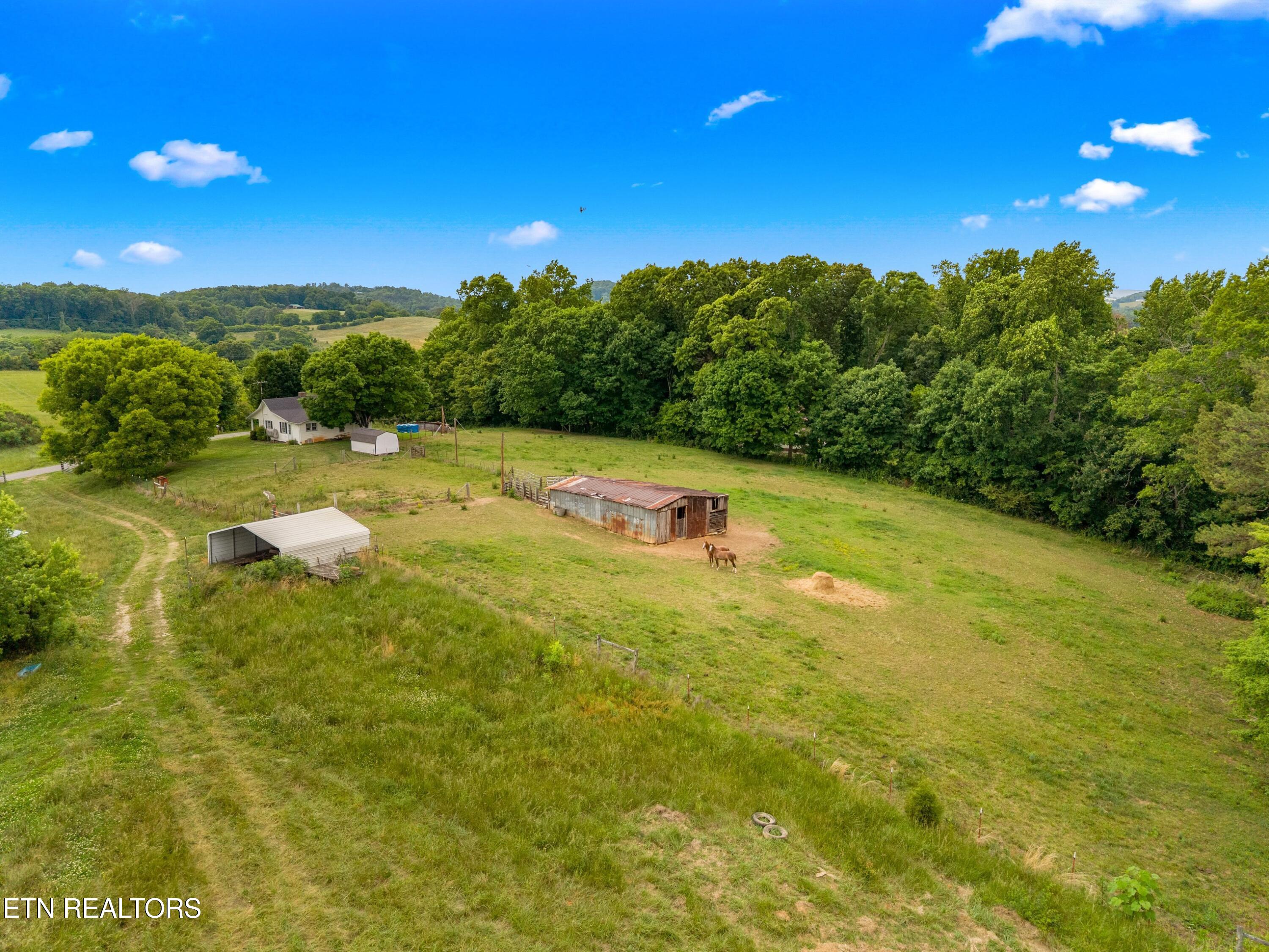 480 Longmire Road Rutledge TN 37861
