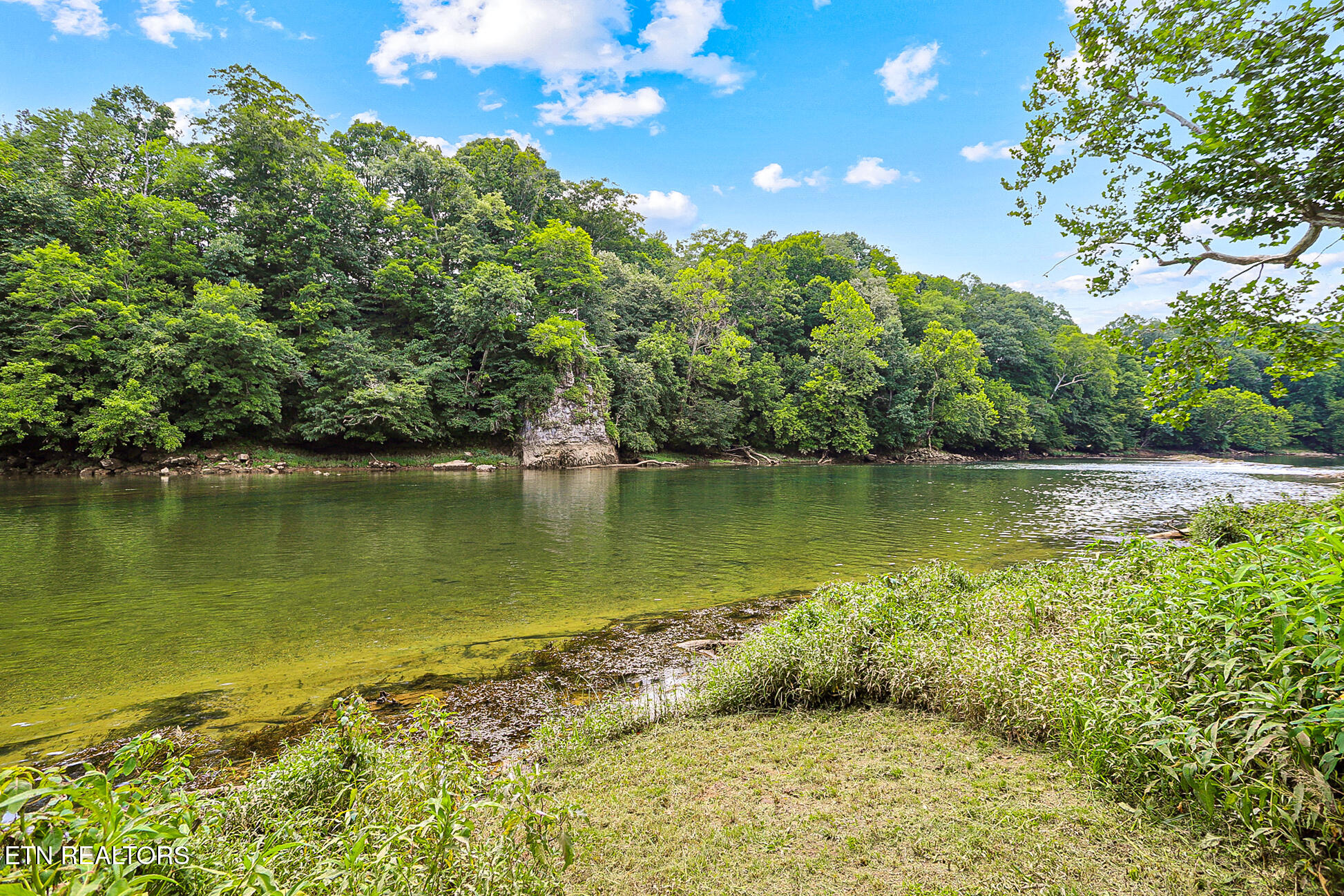 1945 River Mist Circle New Market TN 37820