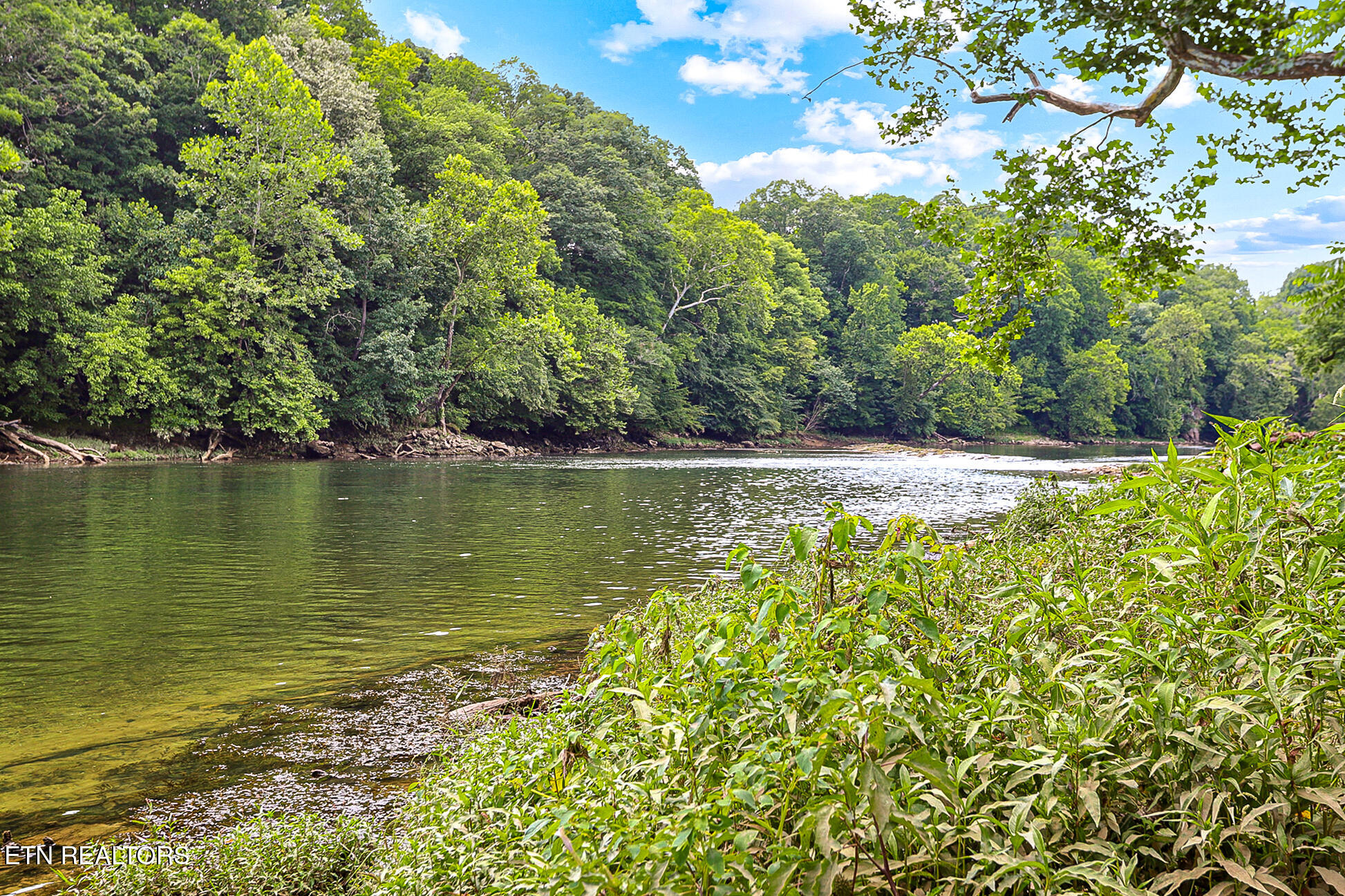 1945 River Mist Circle New Market TN 37820