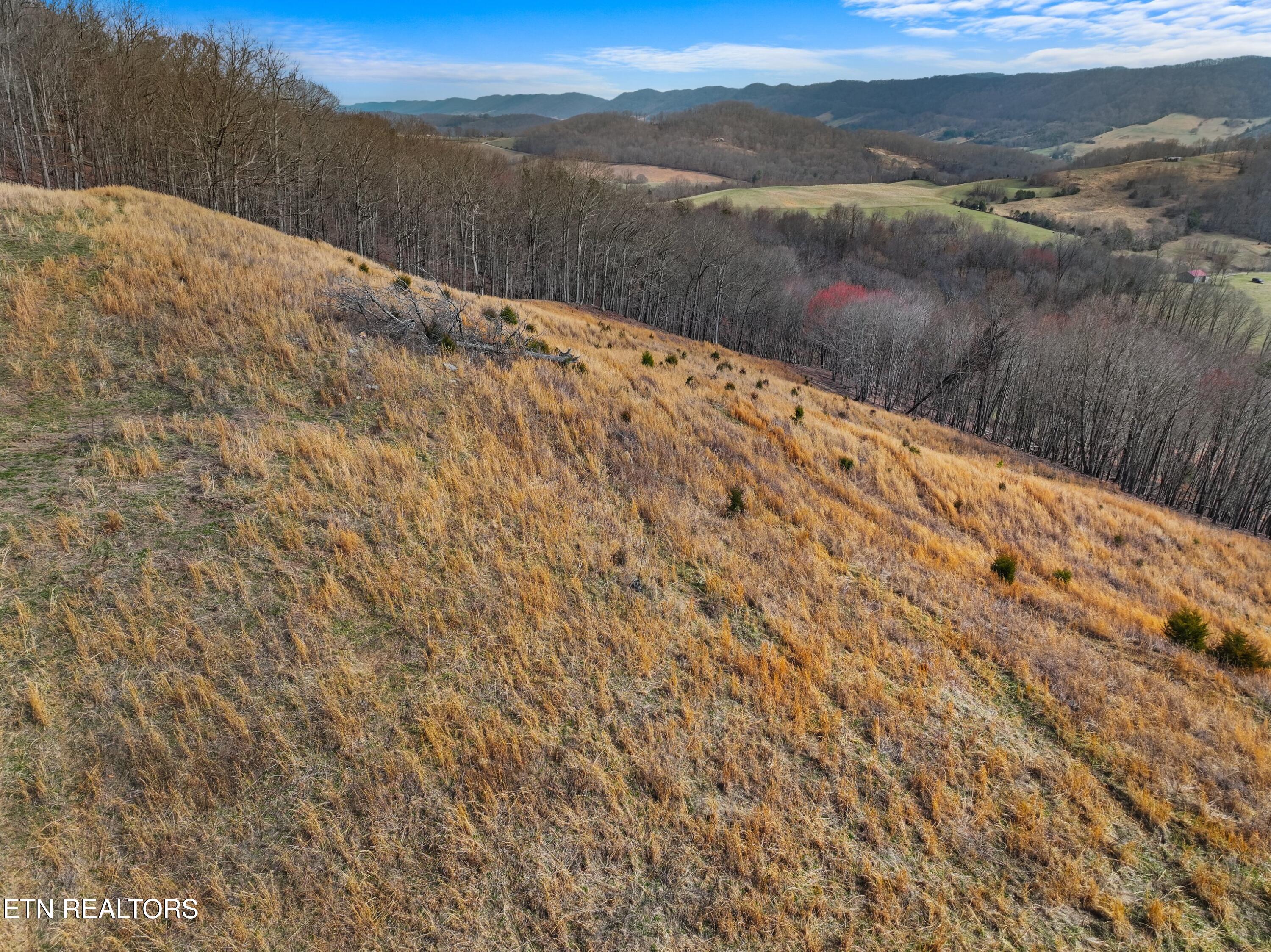 2218 Rebel Hollow Road Tazewell TN 37879