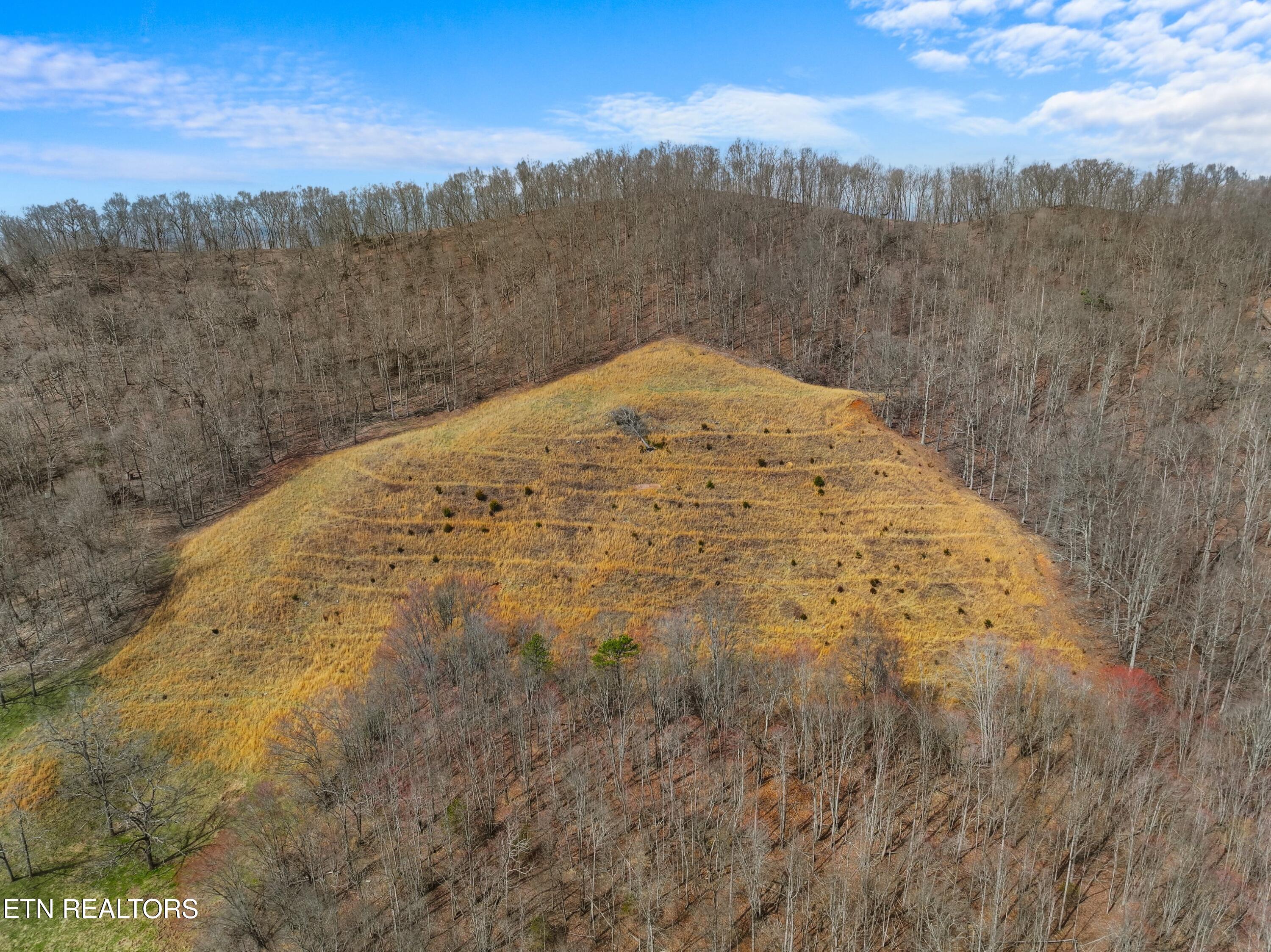 2218 Rebel Hollow Road Tazewell TN 37879