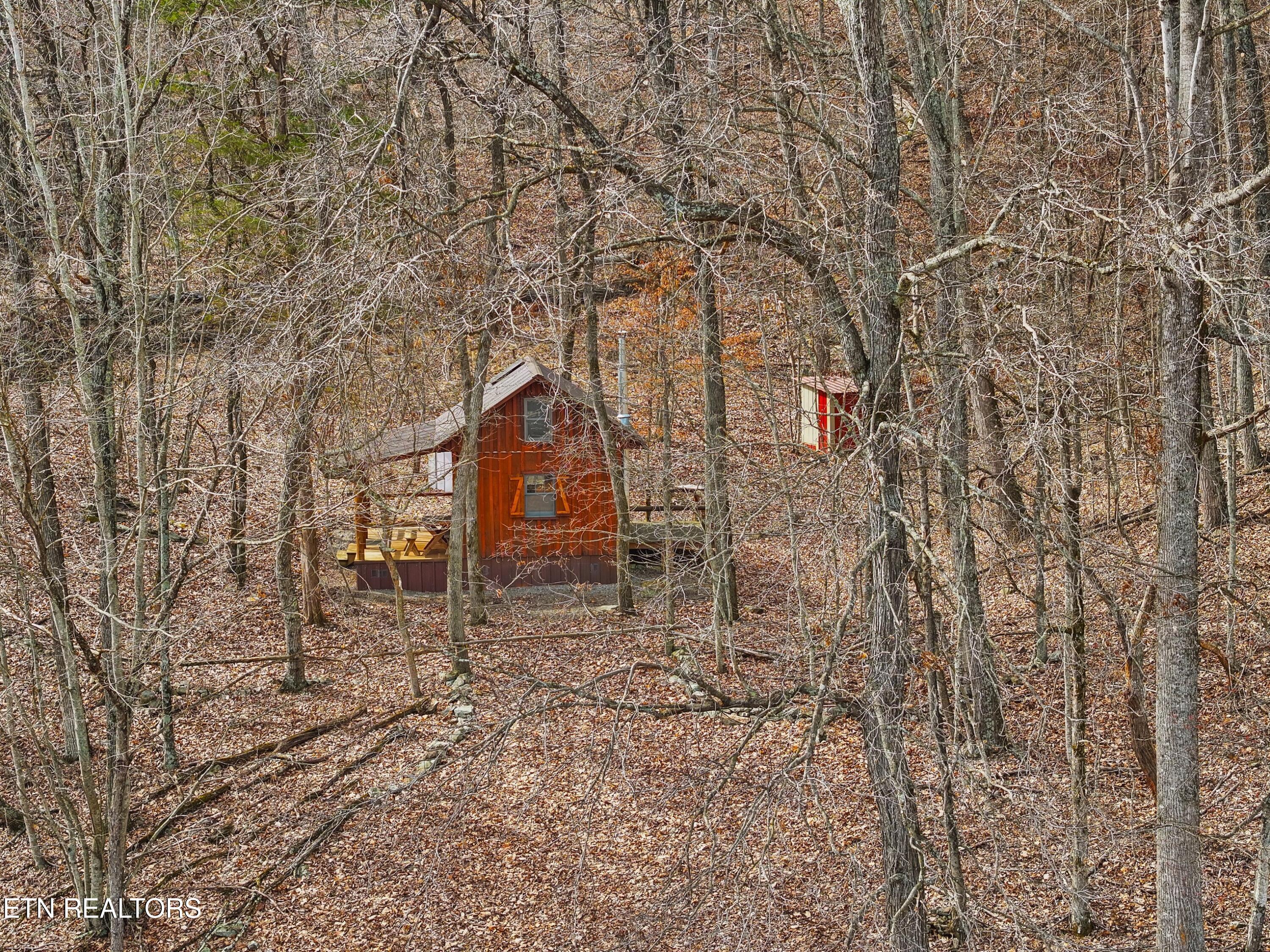 2218 Rebel Hollow Road Tazewell TN 37879