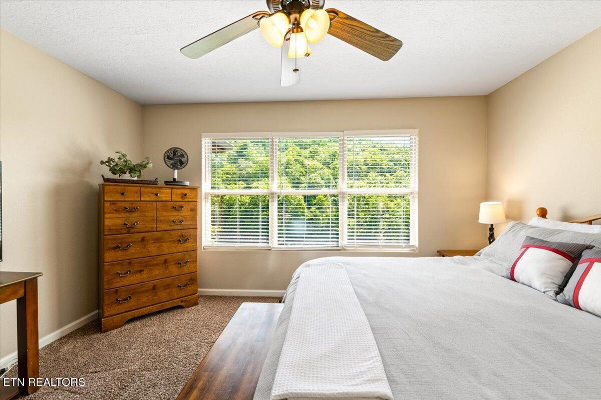 126 Bluewater Lane Lafollette TN 37766