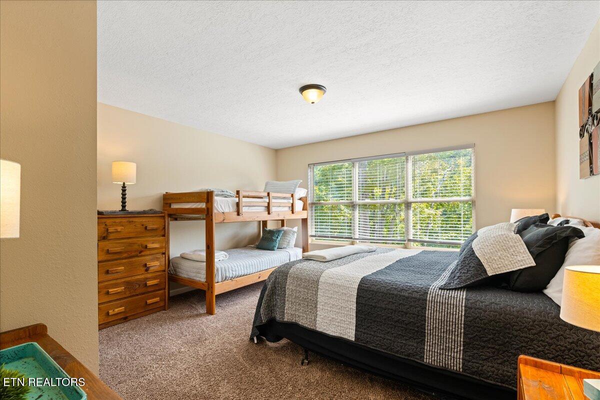 126 Bluewater Lane Lafollette TN 37766