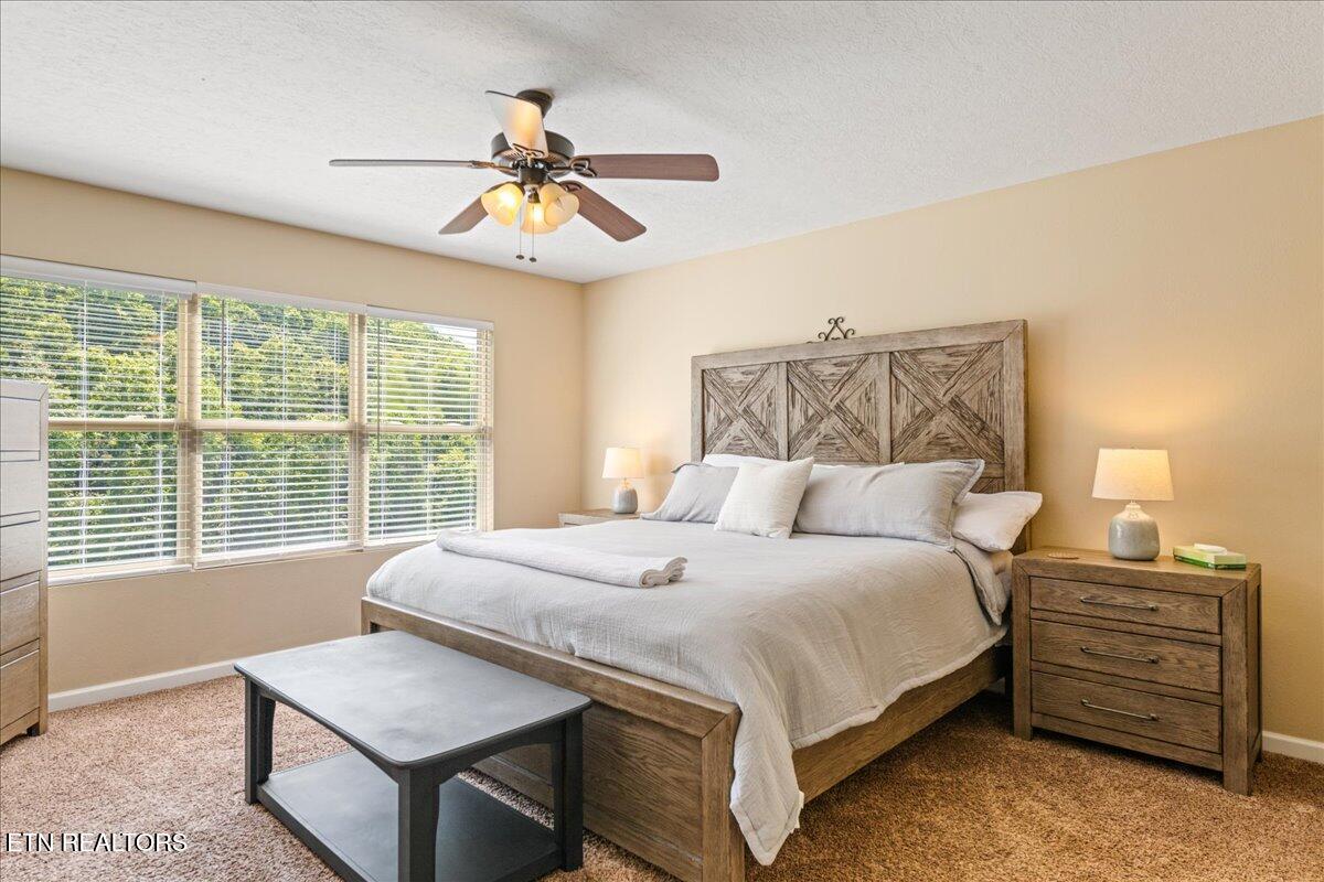 126 Bluewater Lane Lafollette TN 37766