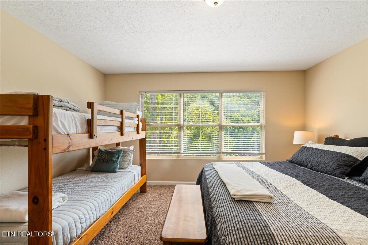 126 Bluewater Lane Lafollette TN 37766