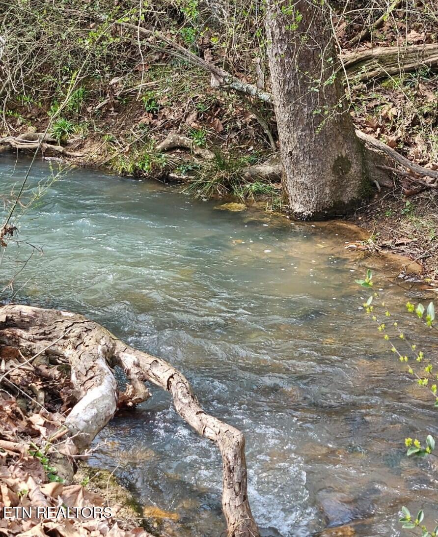 118 Wolf Creek Road Kingston TN 37763