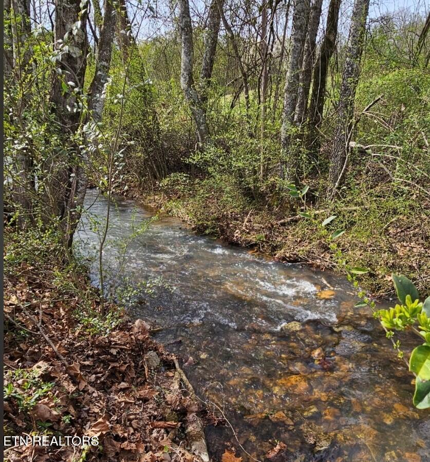 118 Wolf Creek Road Kingston TN 37763