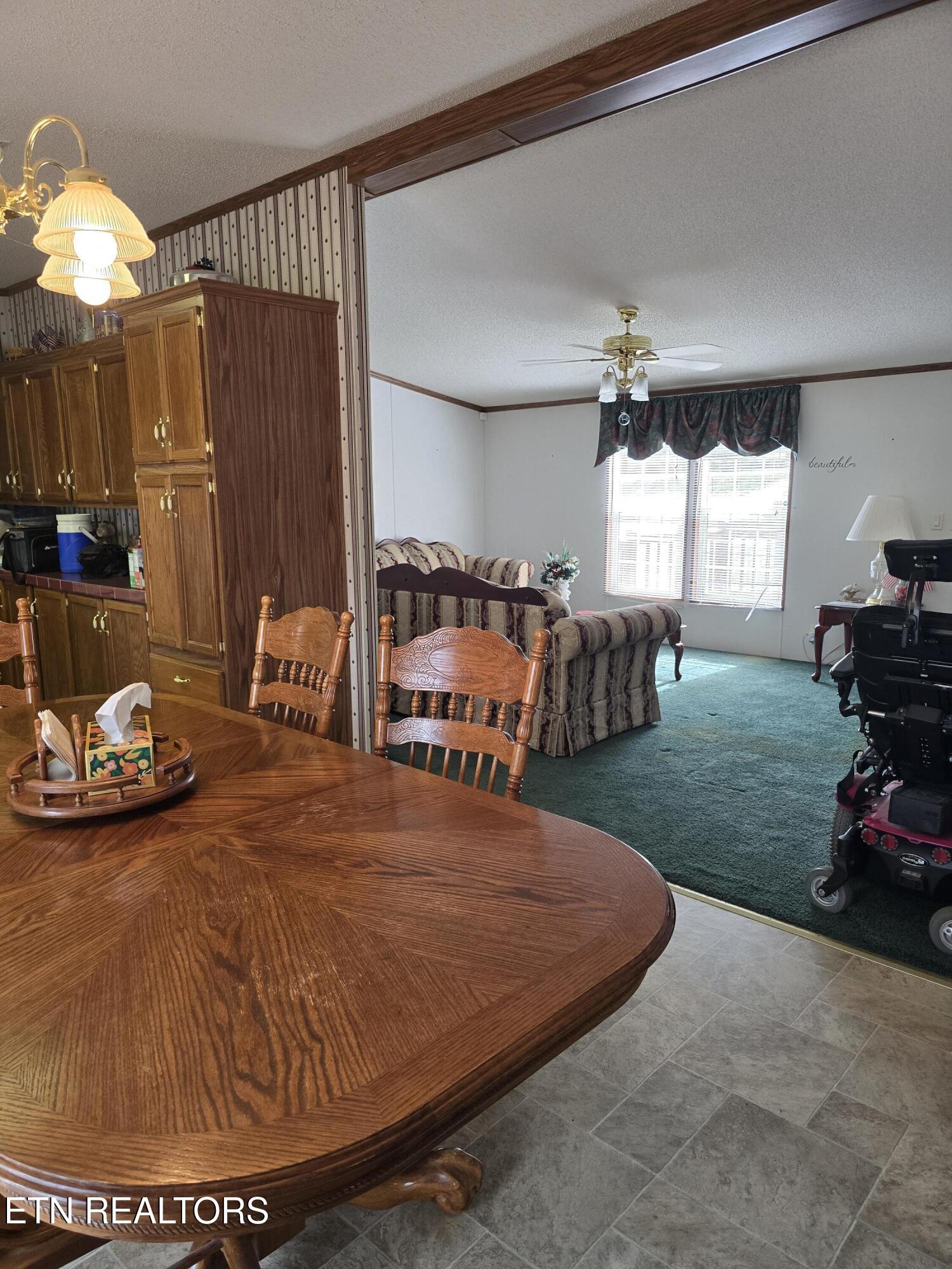 118 Wolf Creek Road Kingston TN 37763