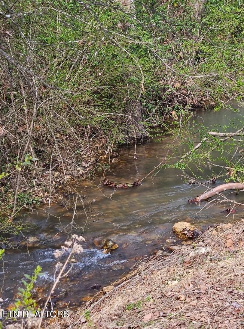 118 Wolf Creek Road Kingston TN 37763