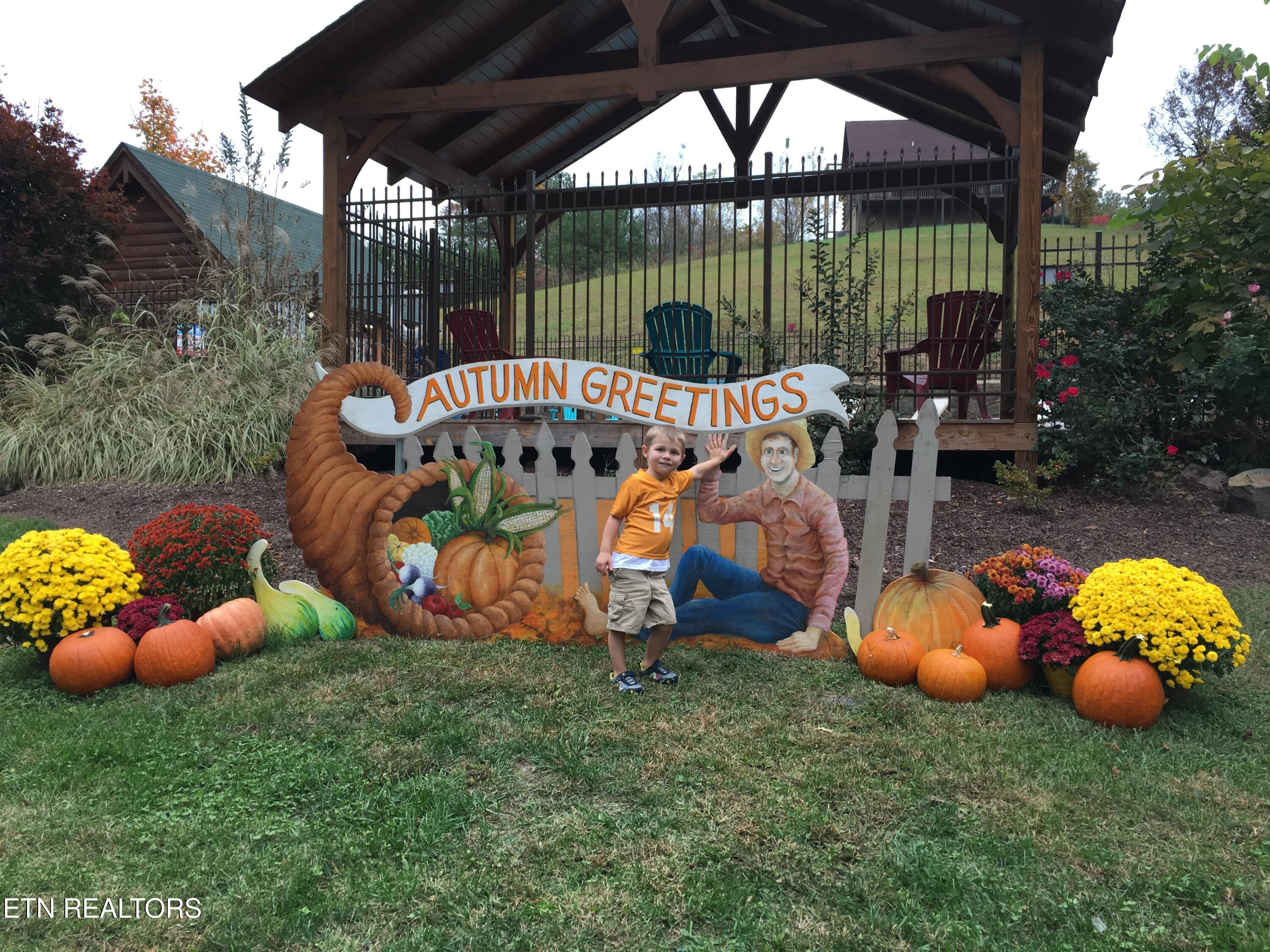 2234 Eagle Feather Drive Sevierville TN 37876