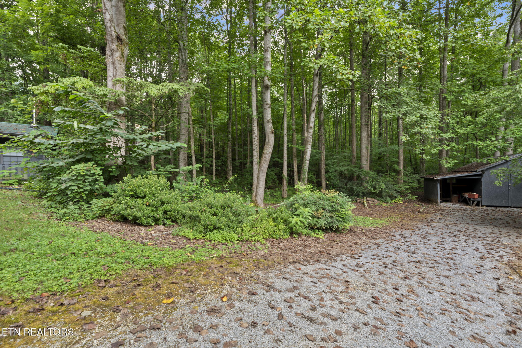 114 Pam Lane Townsend TN 37882