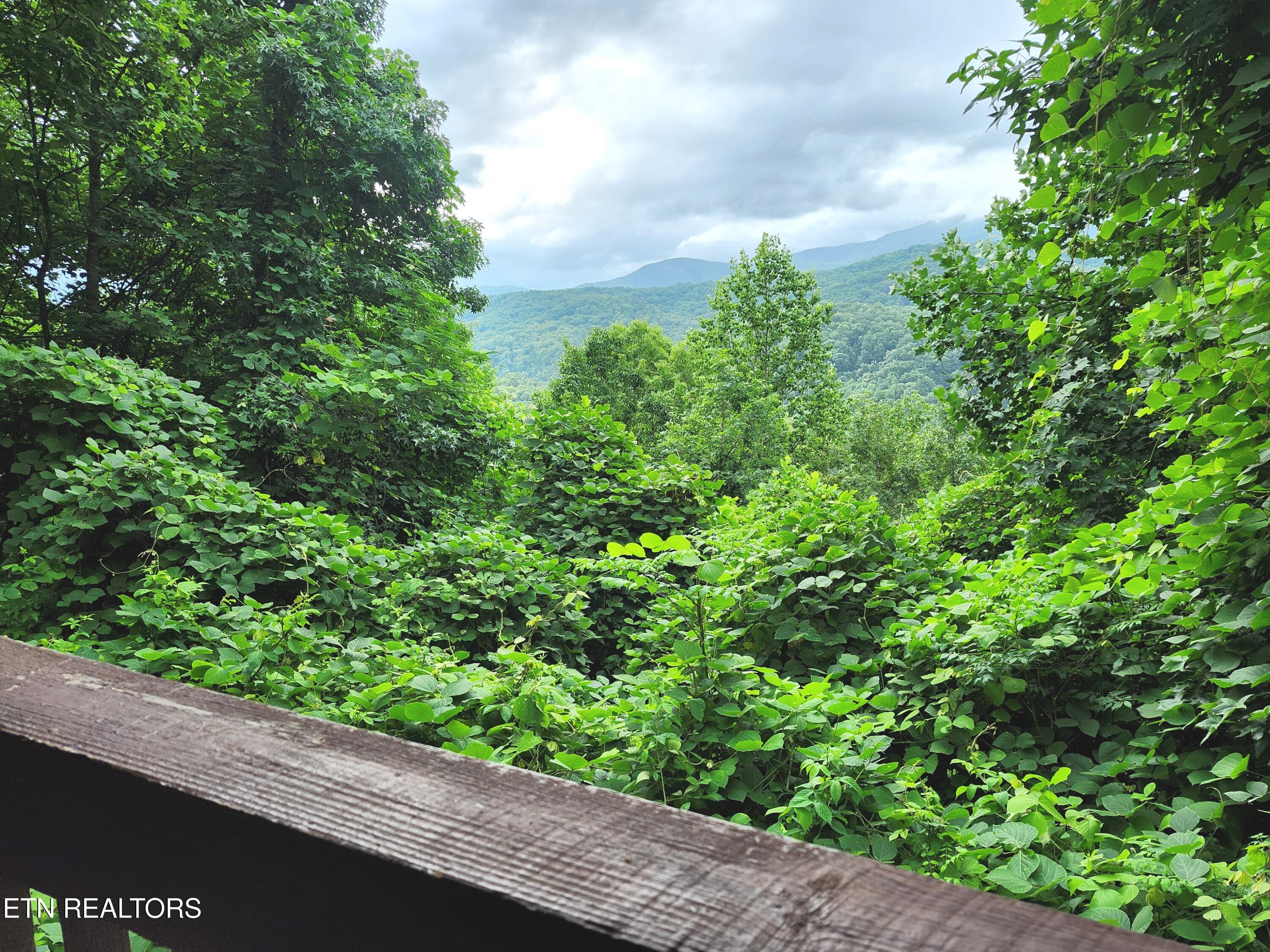 559 Crest Road Gatlinburg TN 37738