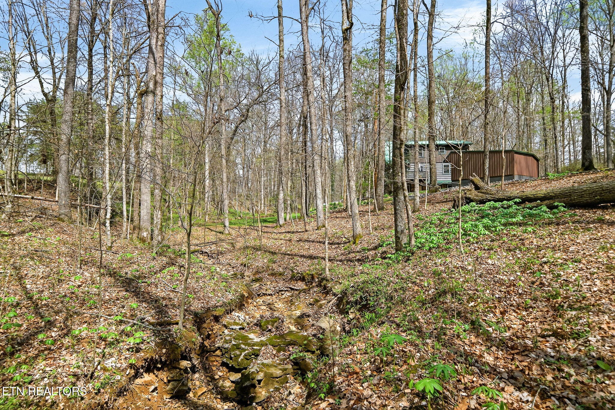 2599 Cummins Mill Road Cookeville TN 38501