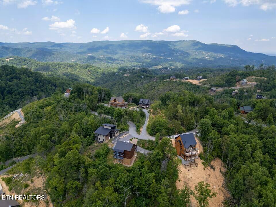 2208 Spurling Way Sevierville TN 37862
