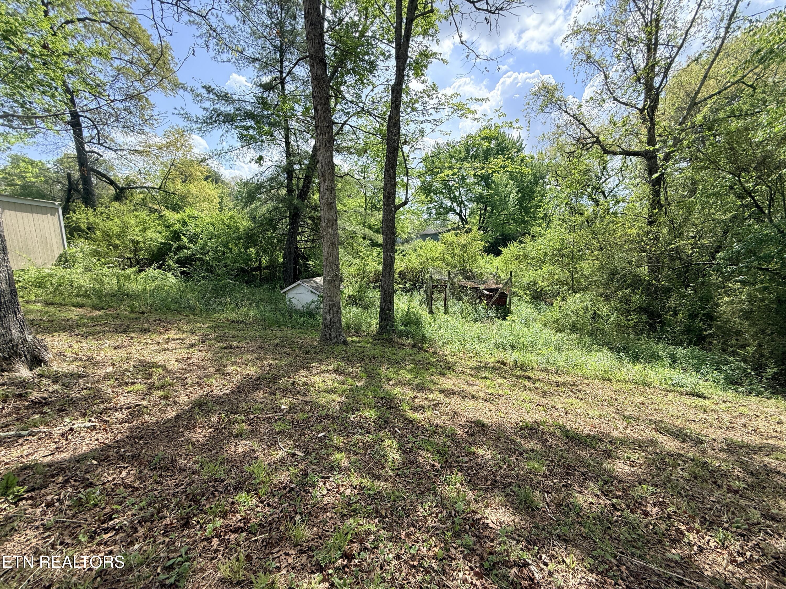 1258 Hensley Road Jamestown TN 38556