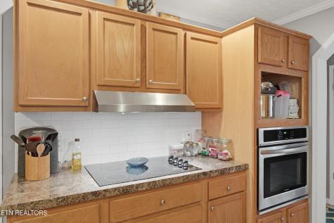 1012 Ashley Meadows Drive Strawberry Plains TN 37871