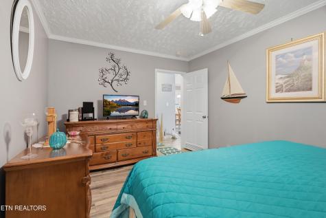 1012 Ashley Meadows Drive Strawberry Plains TN 37871