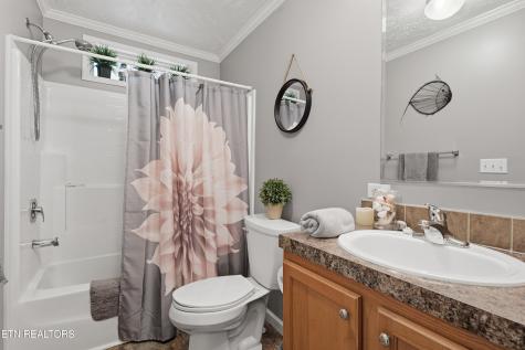 1012 Ashley Meadows Drive Strawberry Plains TN 37871