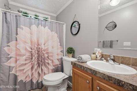 1012 Ashley Meadows Drive Strawberry Plains TN 37871