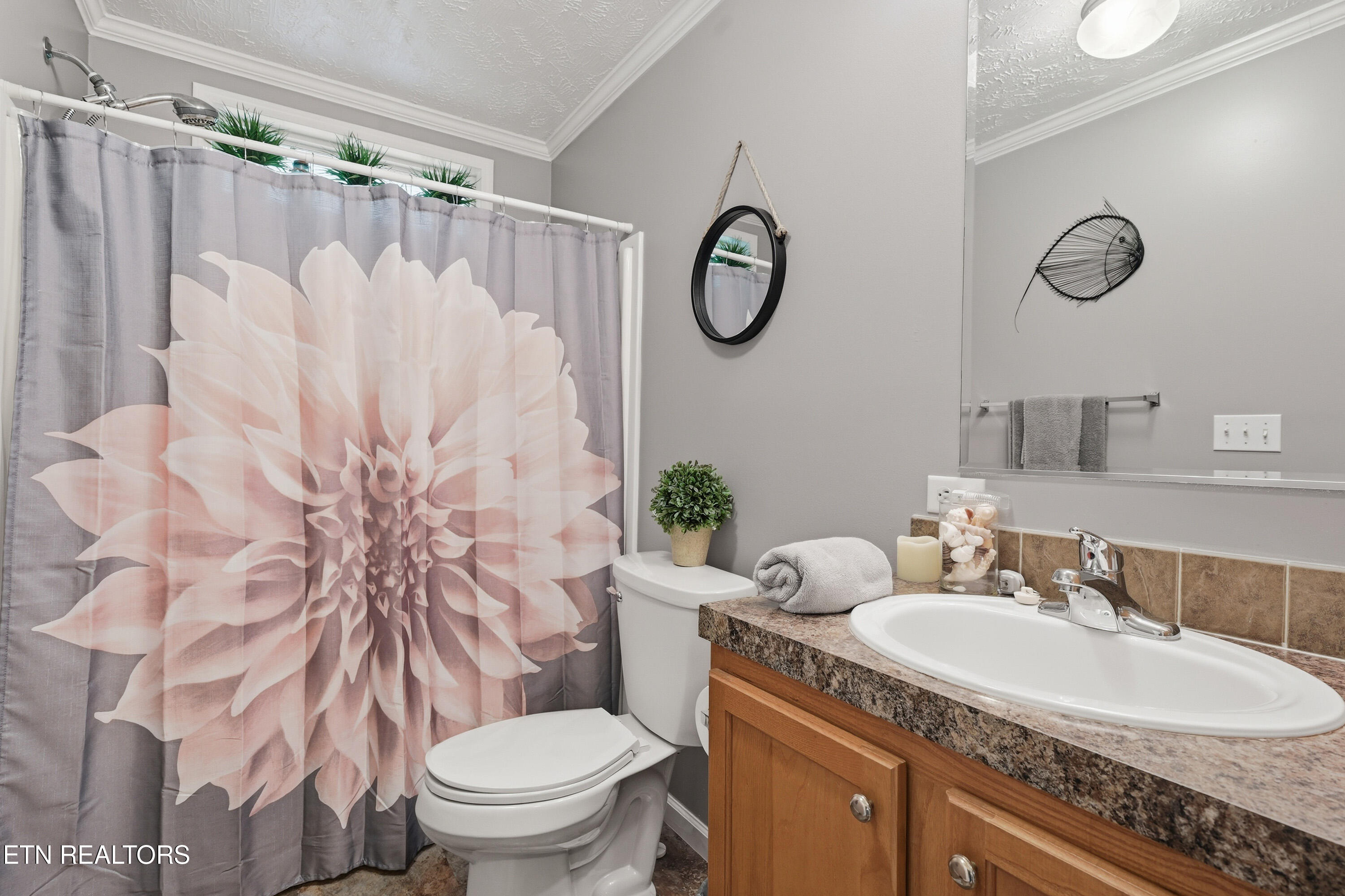 1012 Ashley Meadows Drive Strawberry Plains TN 37871