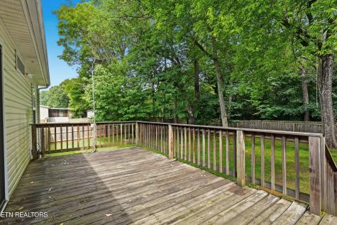 1012 Ashley Meadows Drive Strawberry Plains TN 37871