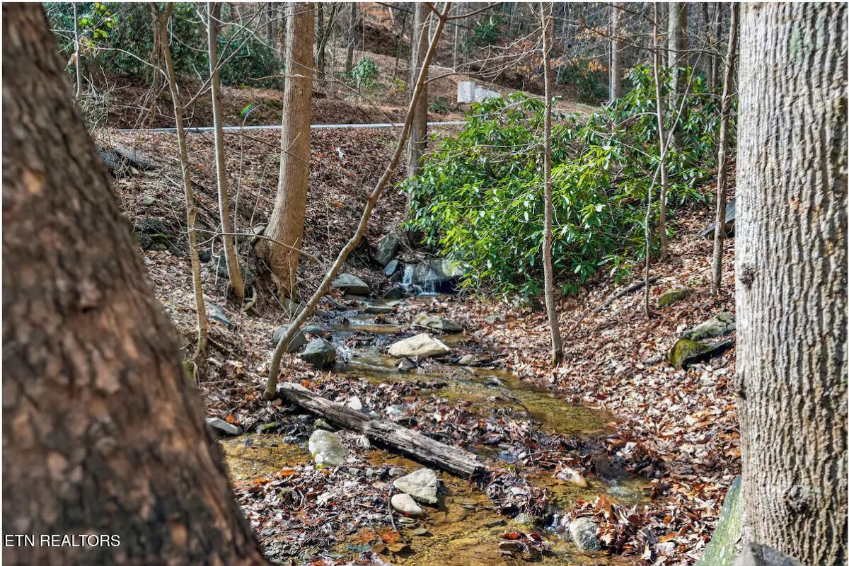 734 Heiden Drive Gatlinburg TN 37738