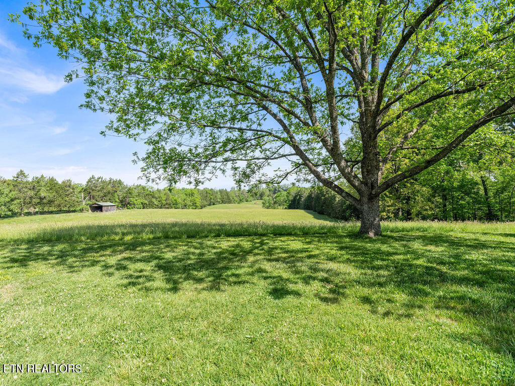 9111 Washington Pike Corryton TN 37721