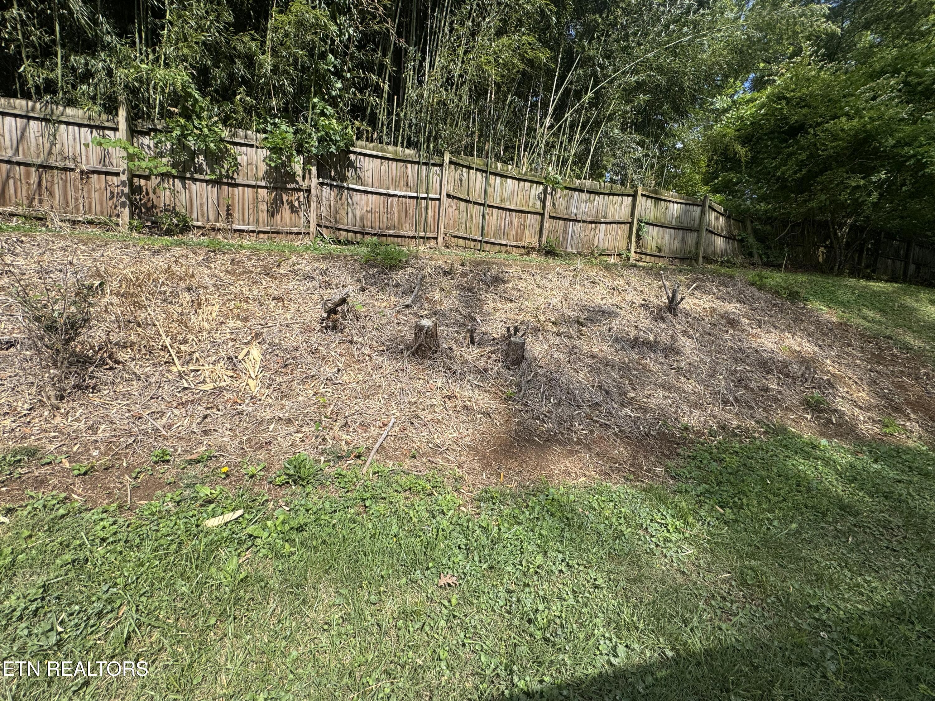 130 Crescent Road Norris TN 37828