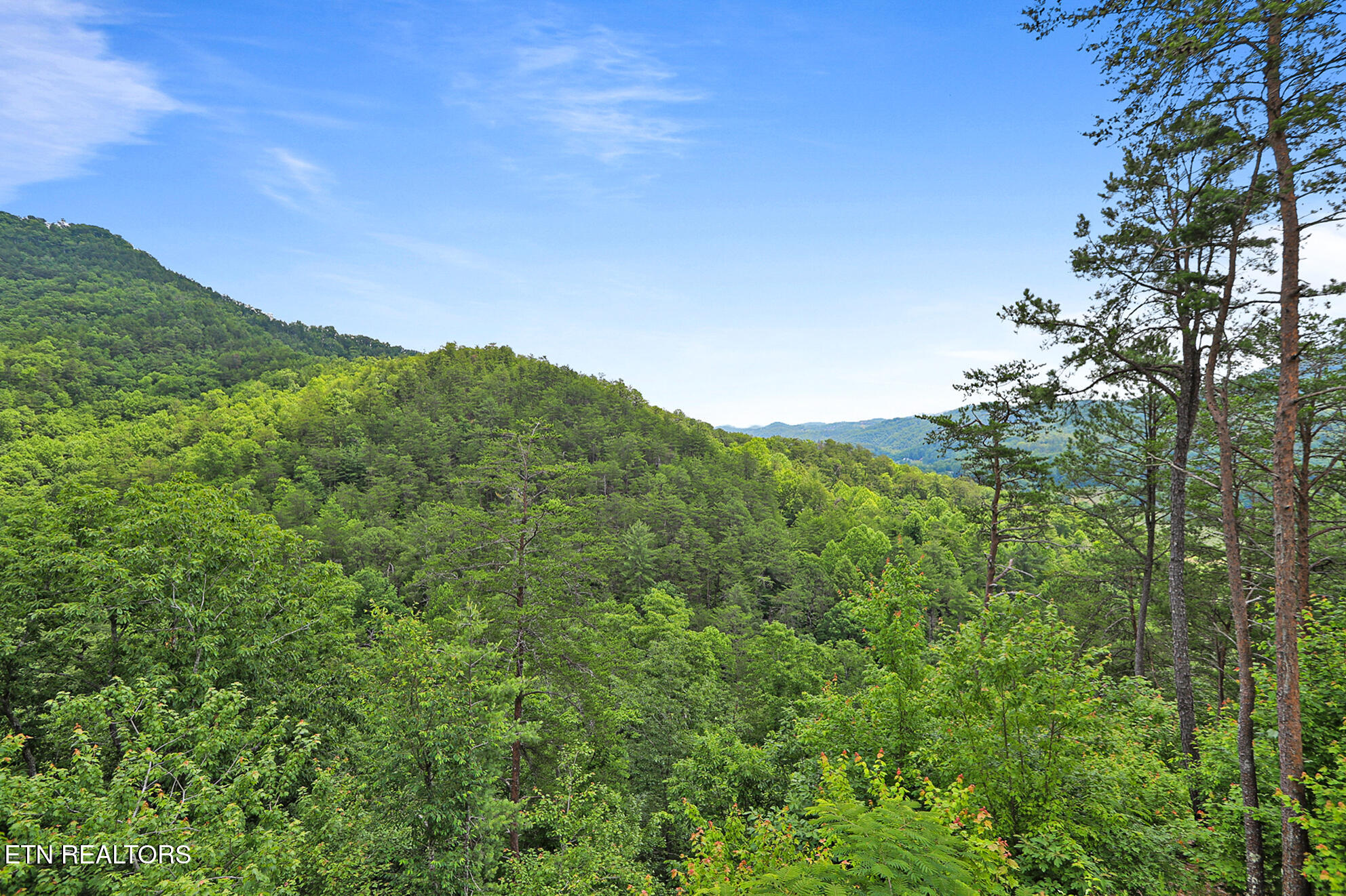 3050 Patty View Way Sevierville TN 37862