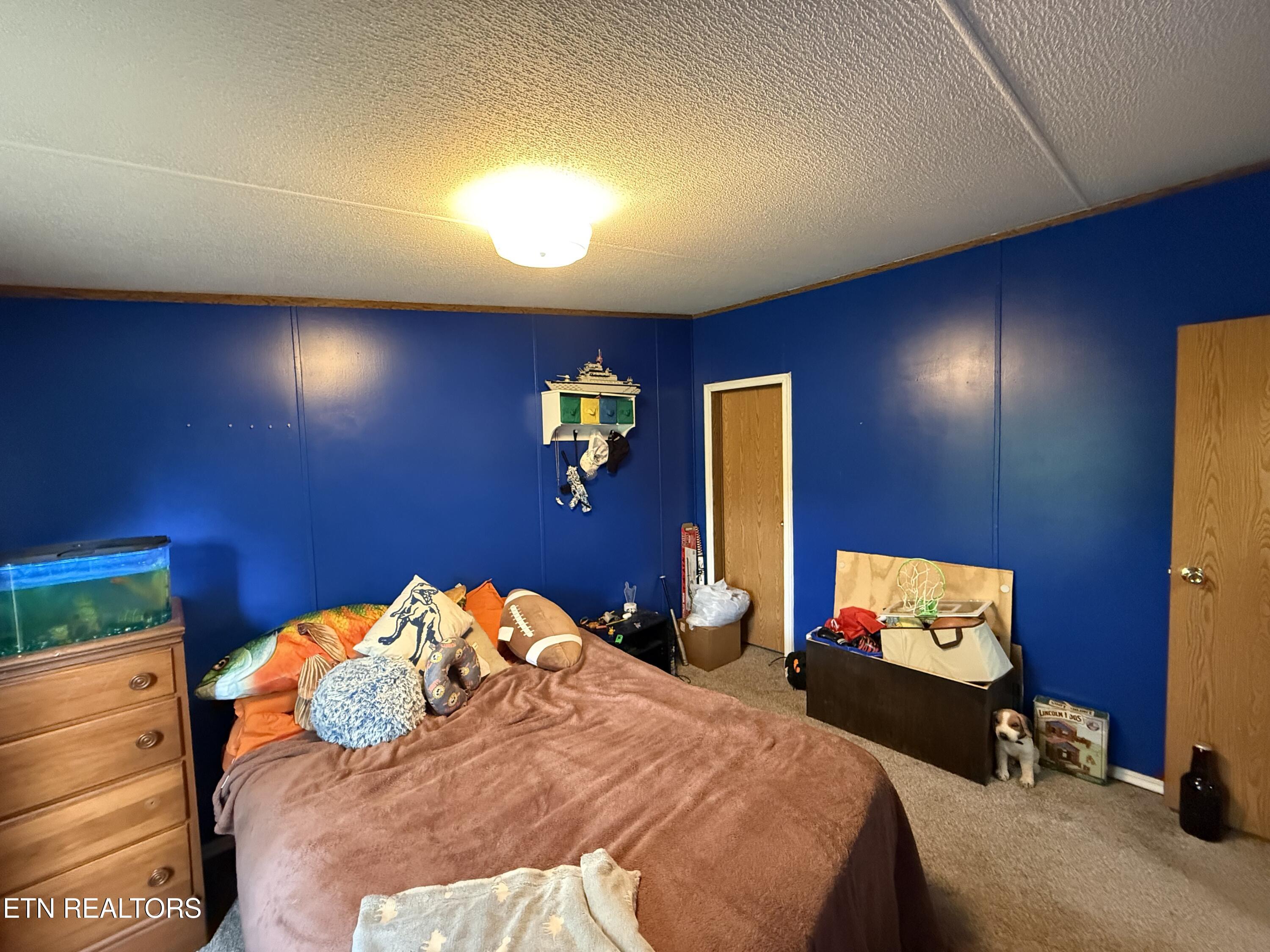 904 Woodview Way Strawberry Plains TN 37871