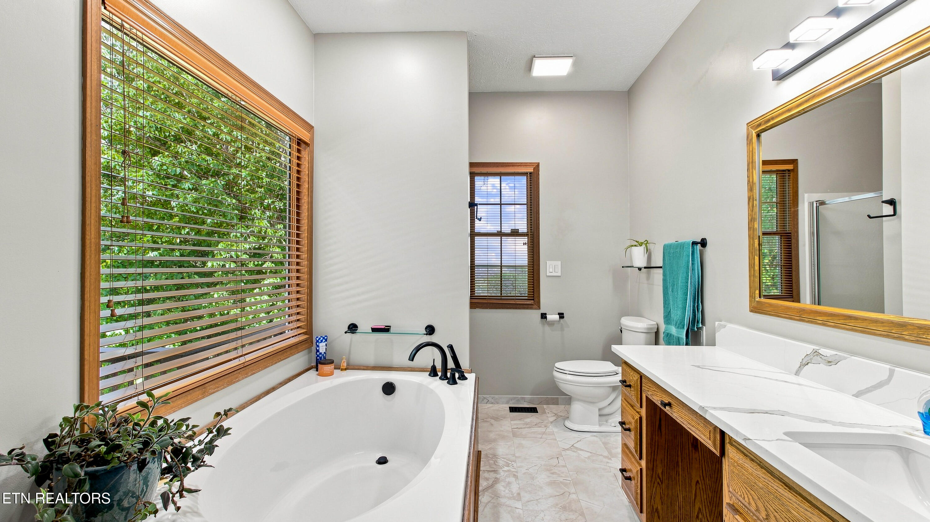 286 Bobcat Trail Caryville TN 37714