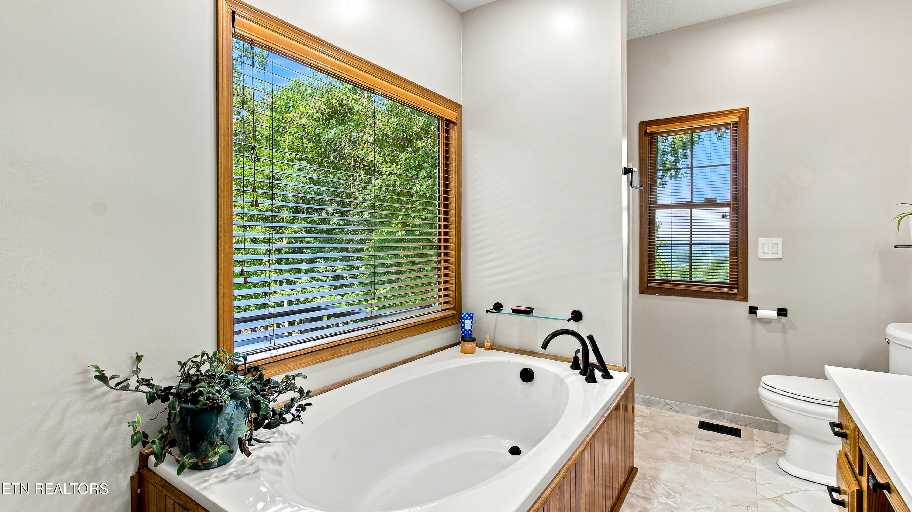 286 Bobcat Trail Caryville TN 37714
