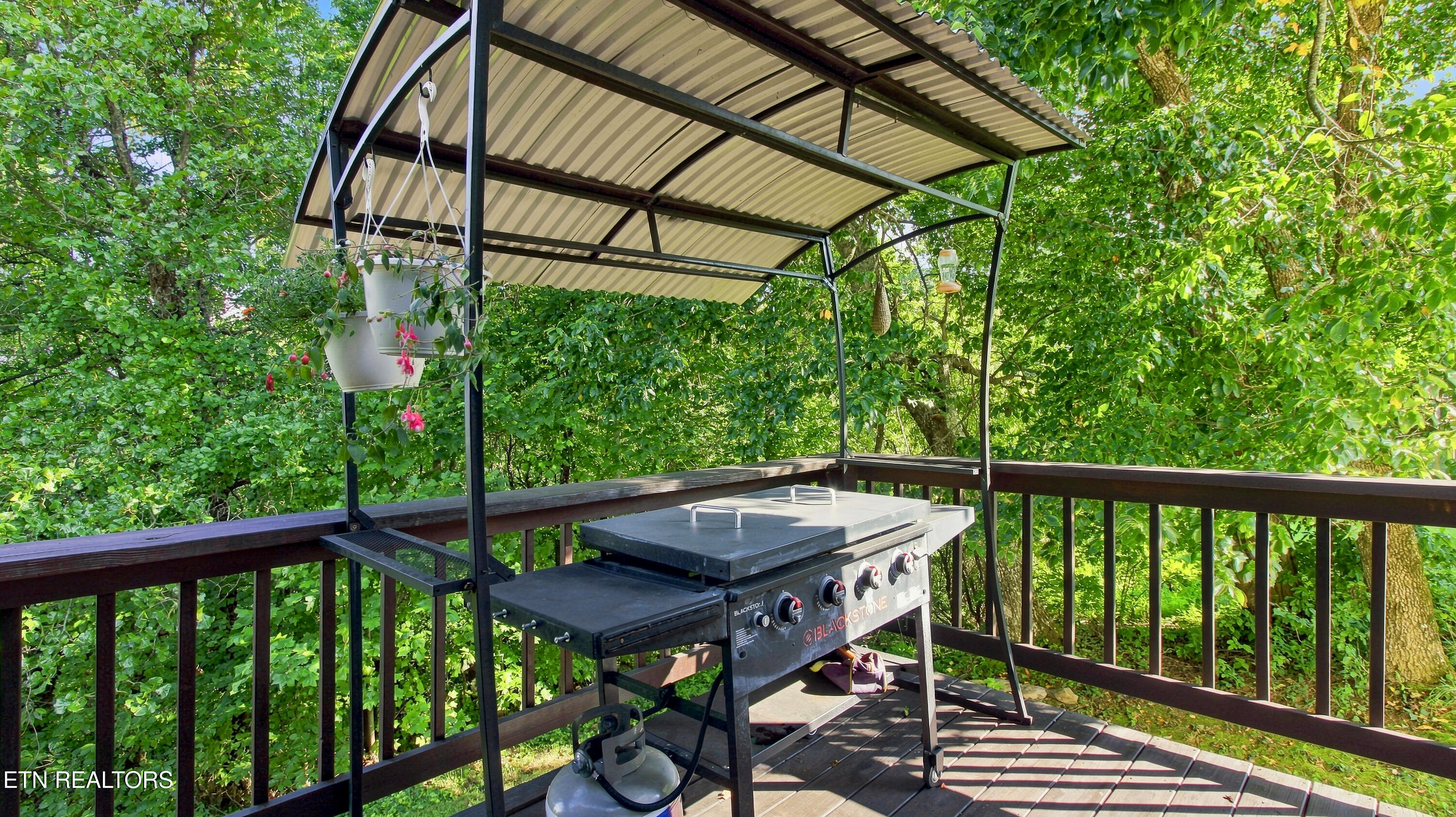 286 Bobcat Trail Caryville TN 37714