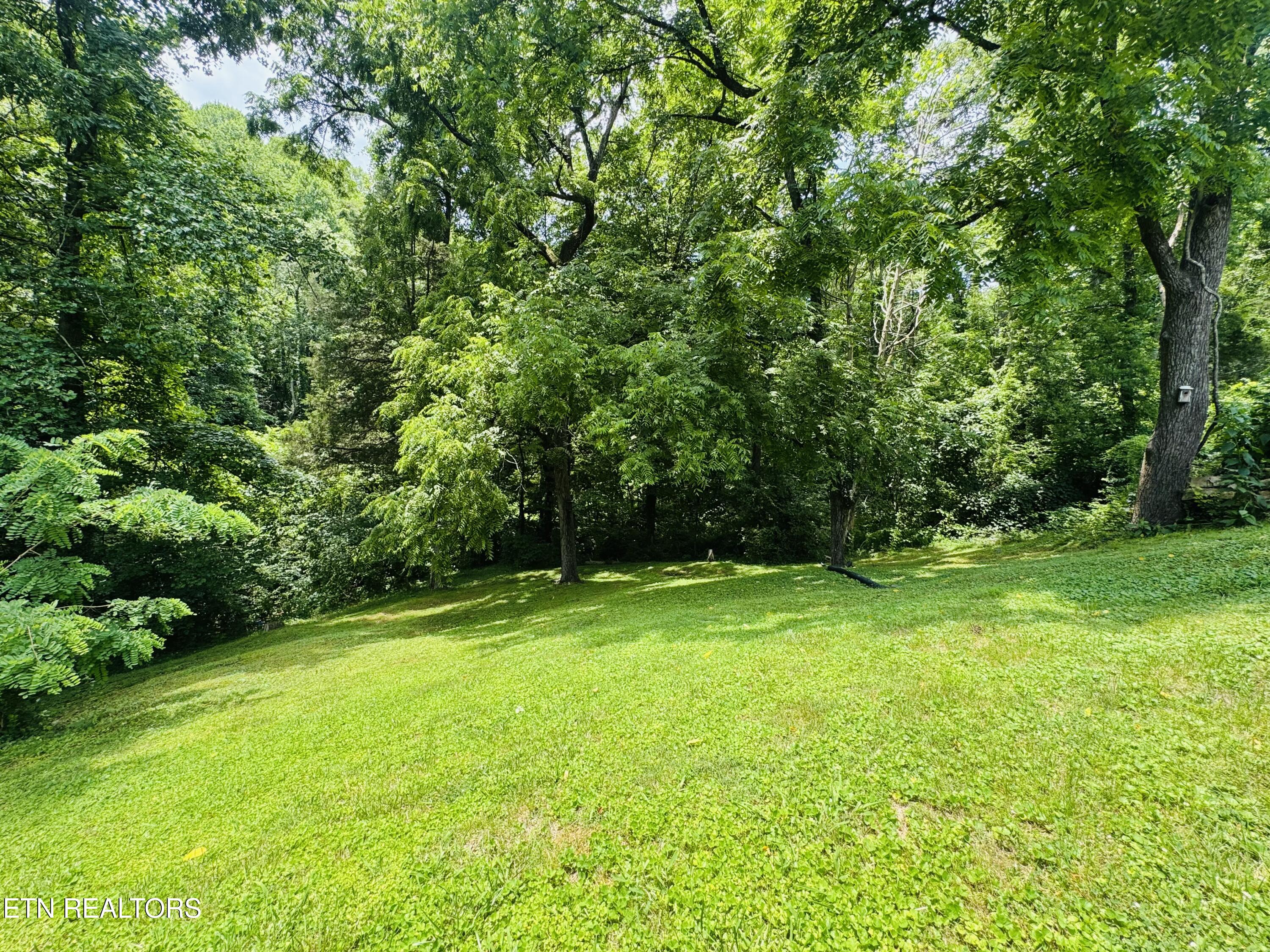 681 Island Cove Road Rocky Top TN 37769