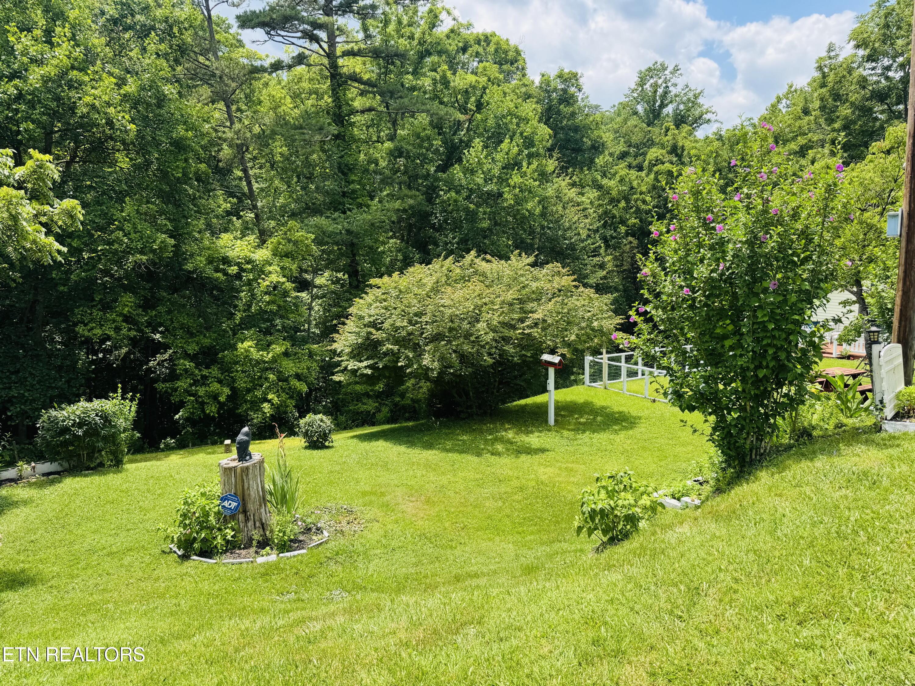 681 Island Cove Road Rocky Top TN 37769