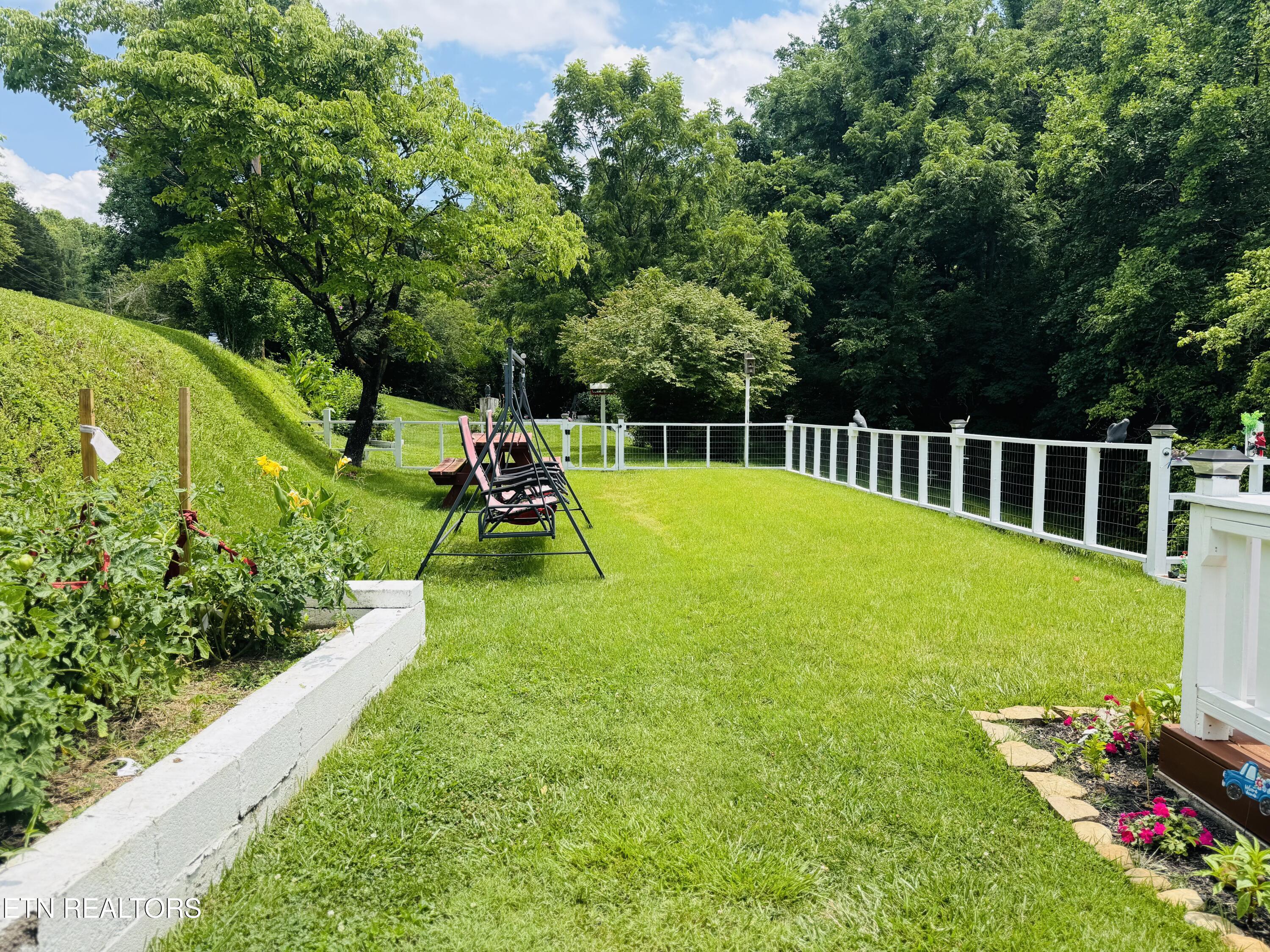 681 Island Cove Road Rocky Top TN 37769