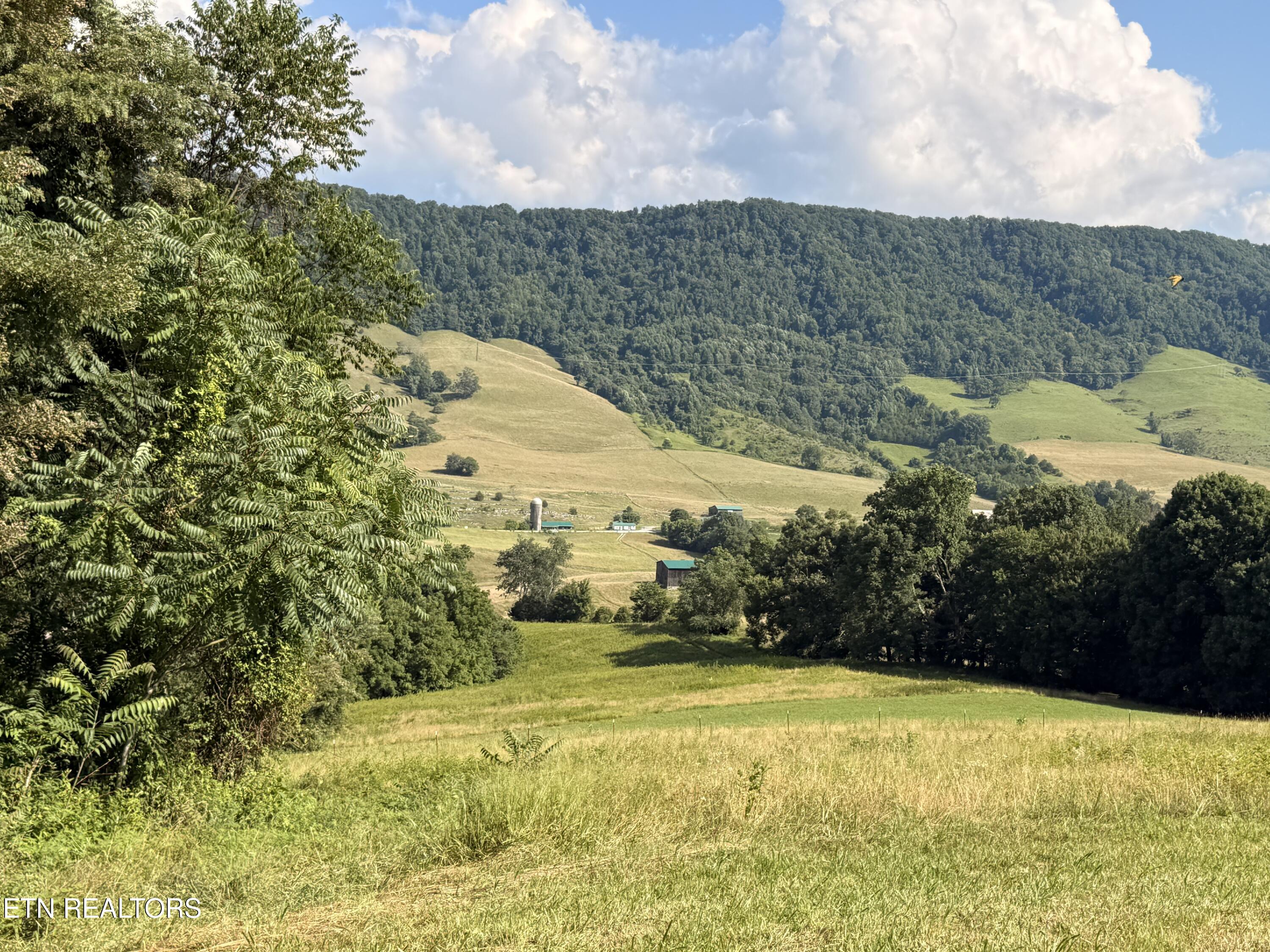 4194 Little Sycamore Road Tazewell TN 37879