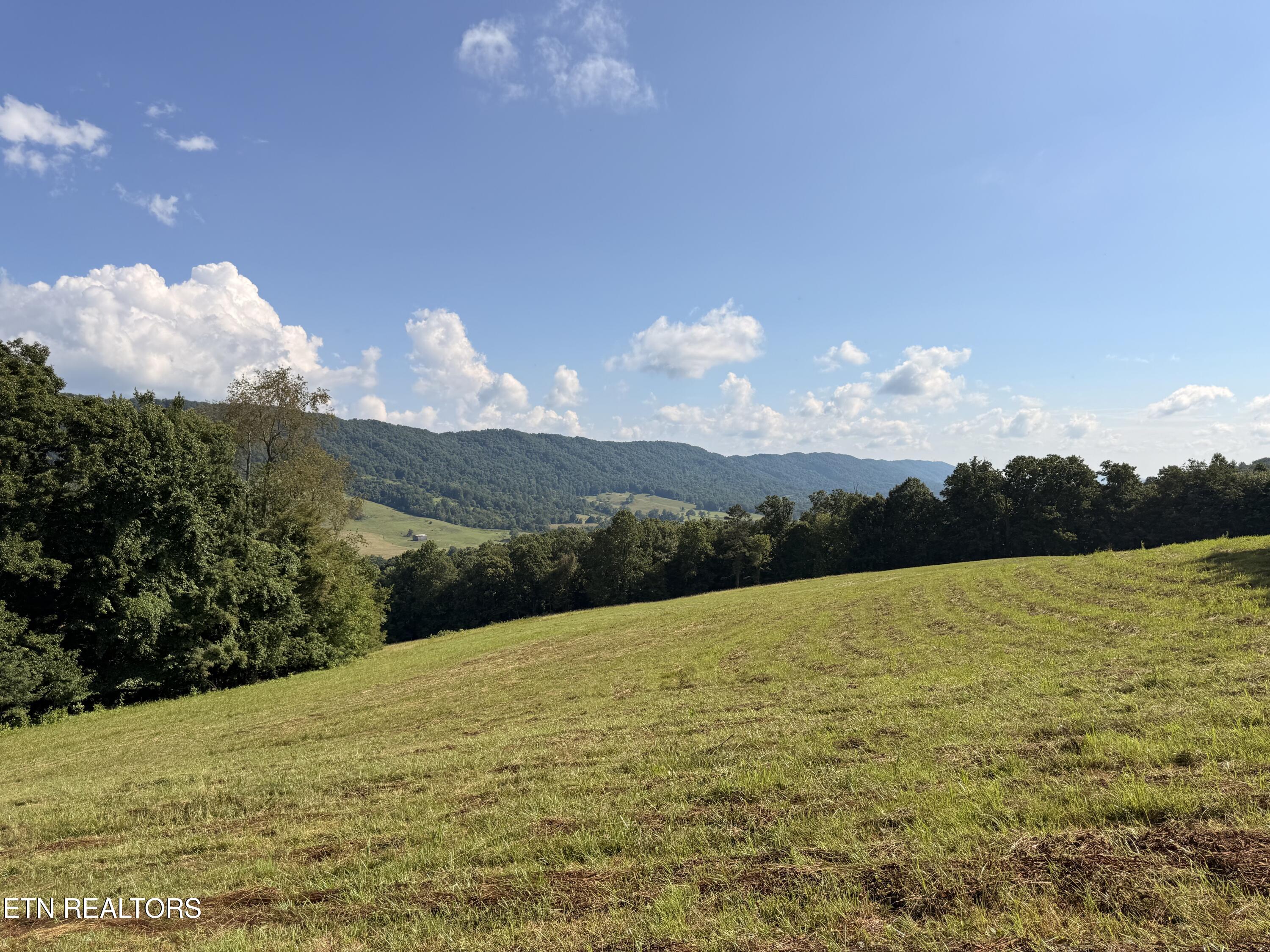 4194 Little Sycamore Road Tazewell TN 37879
